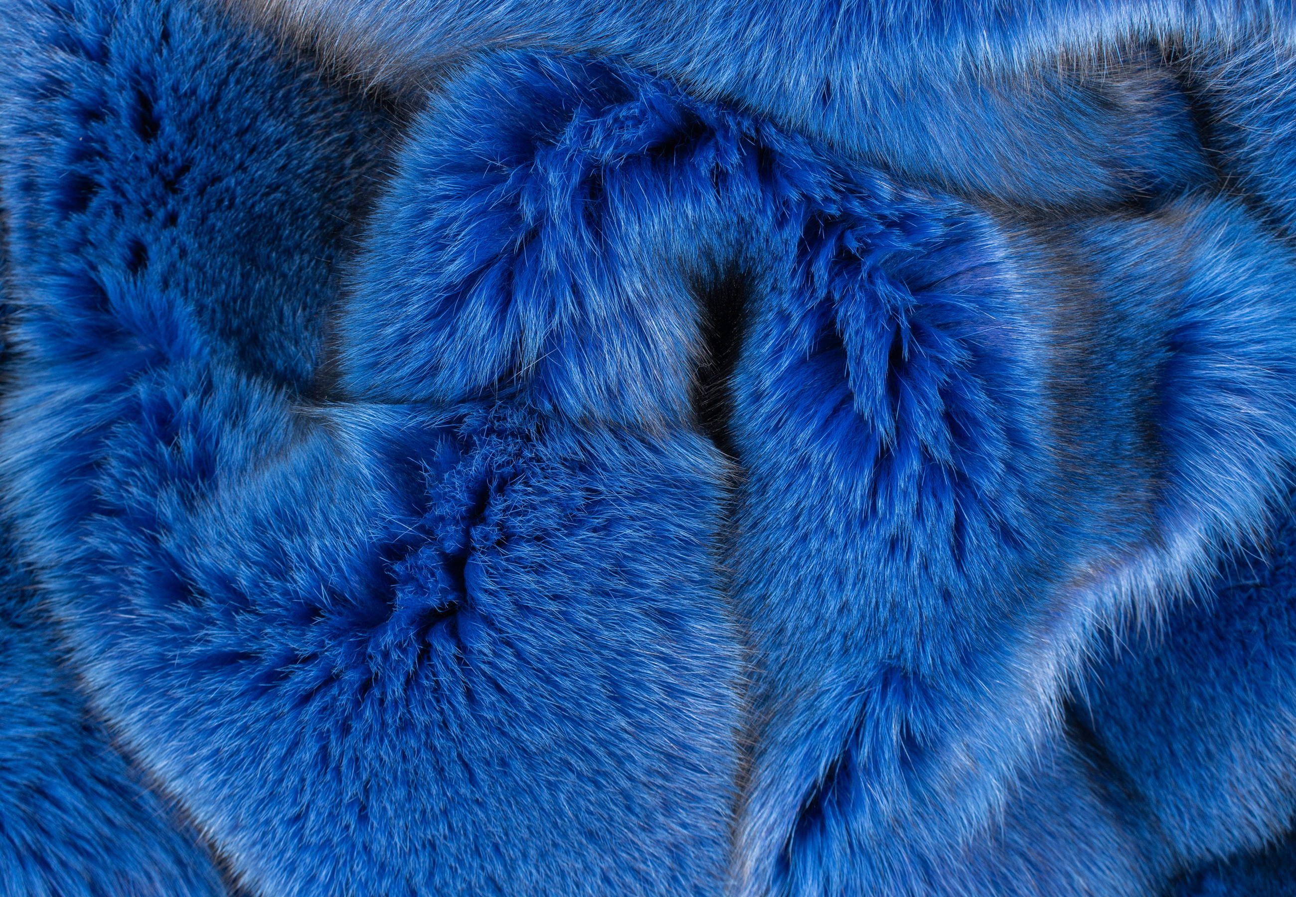 Blaufuchs Felldecke in Blau Blaufuchs Felldecke in Blau