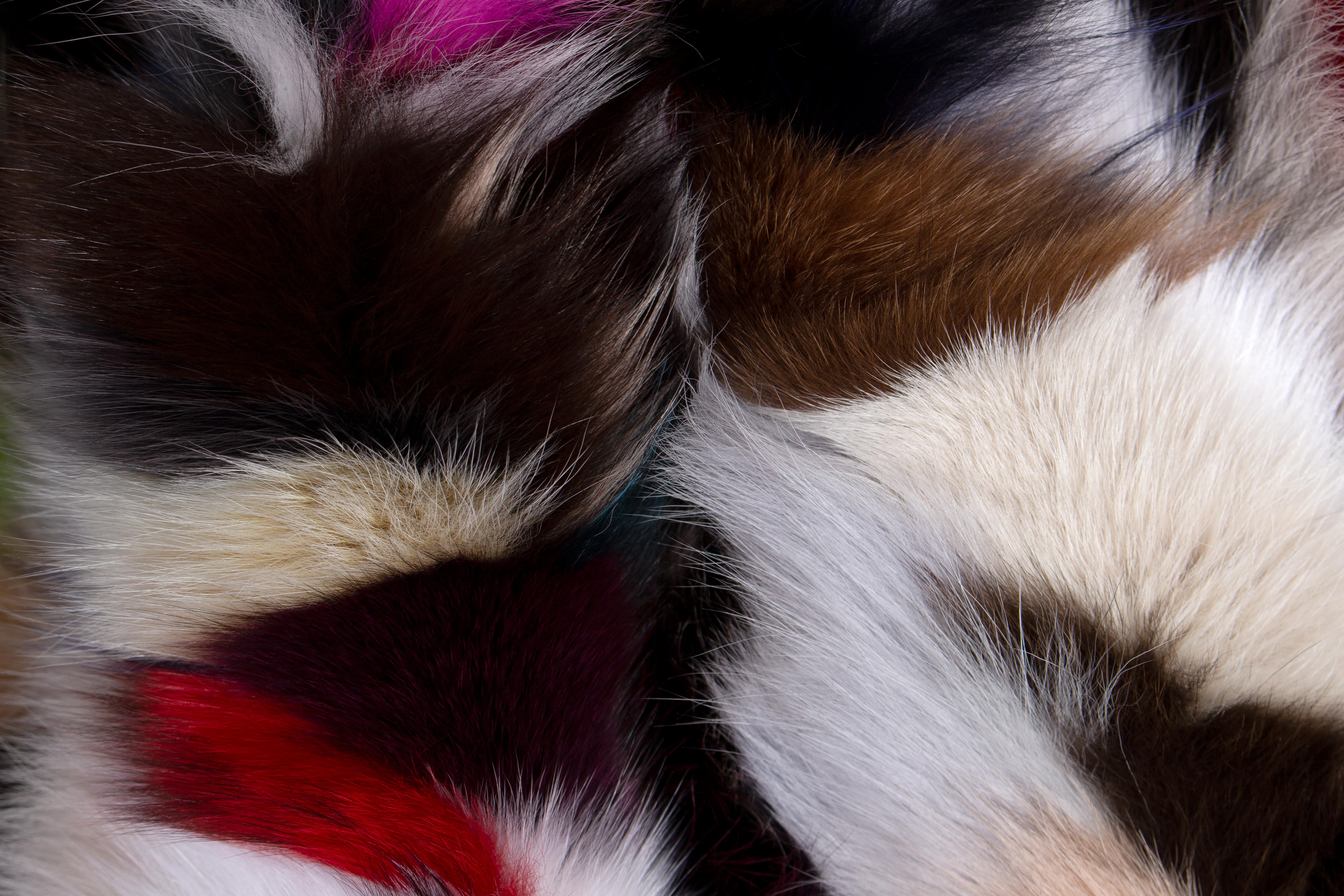 6-1480-Multicolor-Pelz-Decke-Fuchsseiten-Lars-Paustian Multicolor Pelz Decke aus kuscheligen Blaufuchsseiten