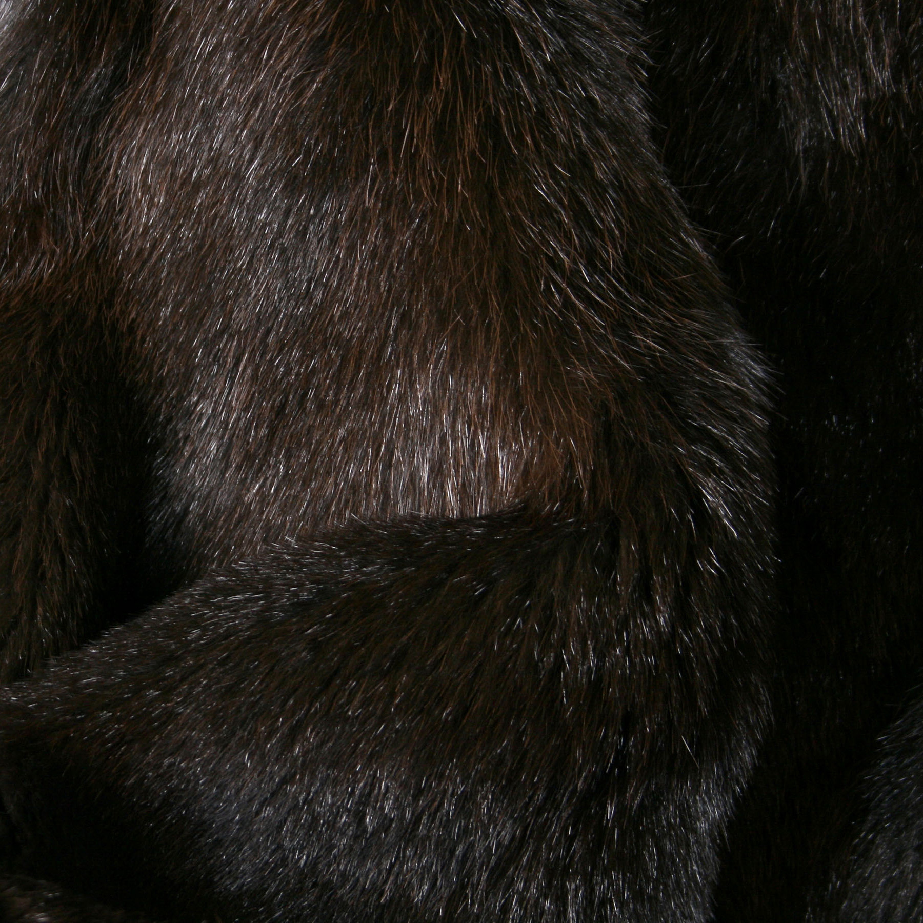 Kategoriebild-Opossum-500x500 Kategoriebild-Opossum-500x500