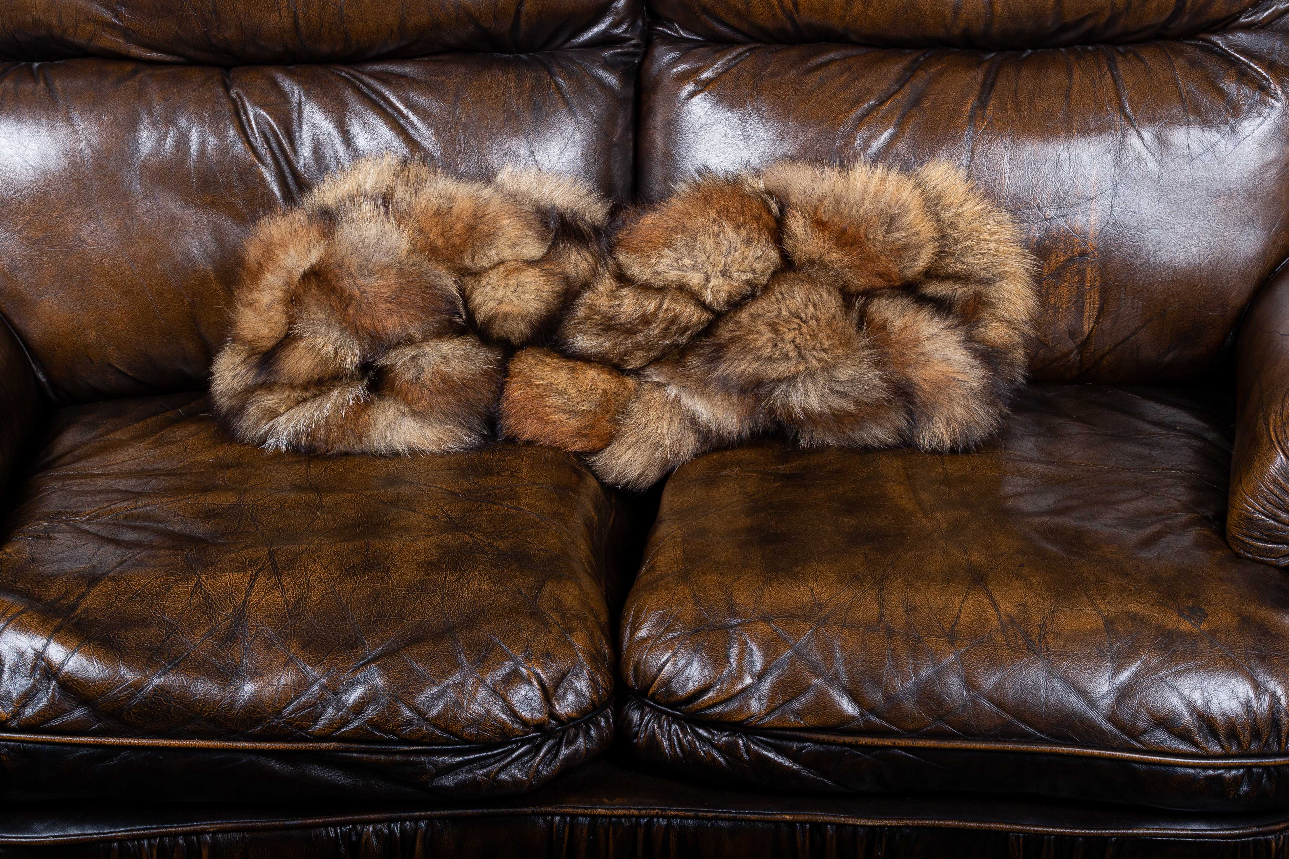 1-1033-Dekokissen-Rotfuchsschweifen-Wildware-Lars-Paustian Dekokissen aus Rotfuchsschweifen