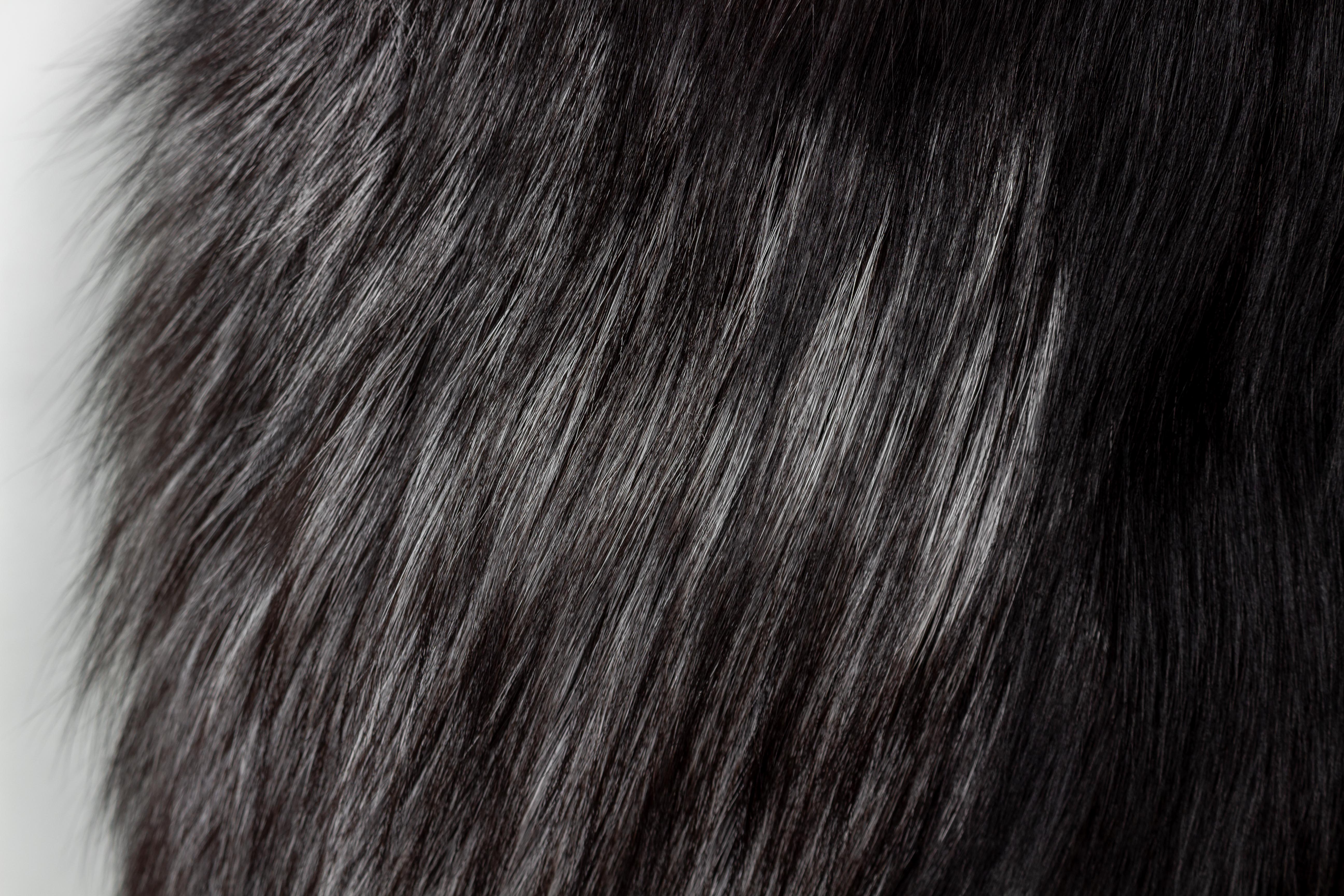 2-9166-Bett-Kopfteil-Skandinavischen-Silberfuchs-Echtpelz Bett Kopfteil aus Skandinavischen Silberfuchs