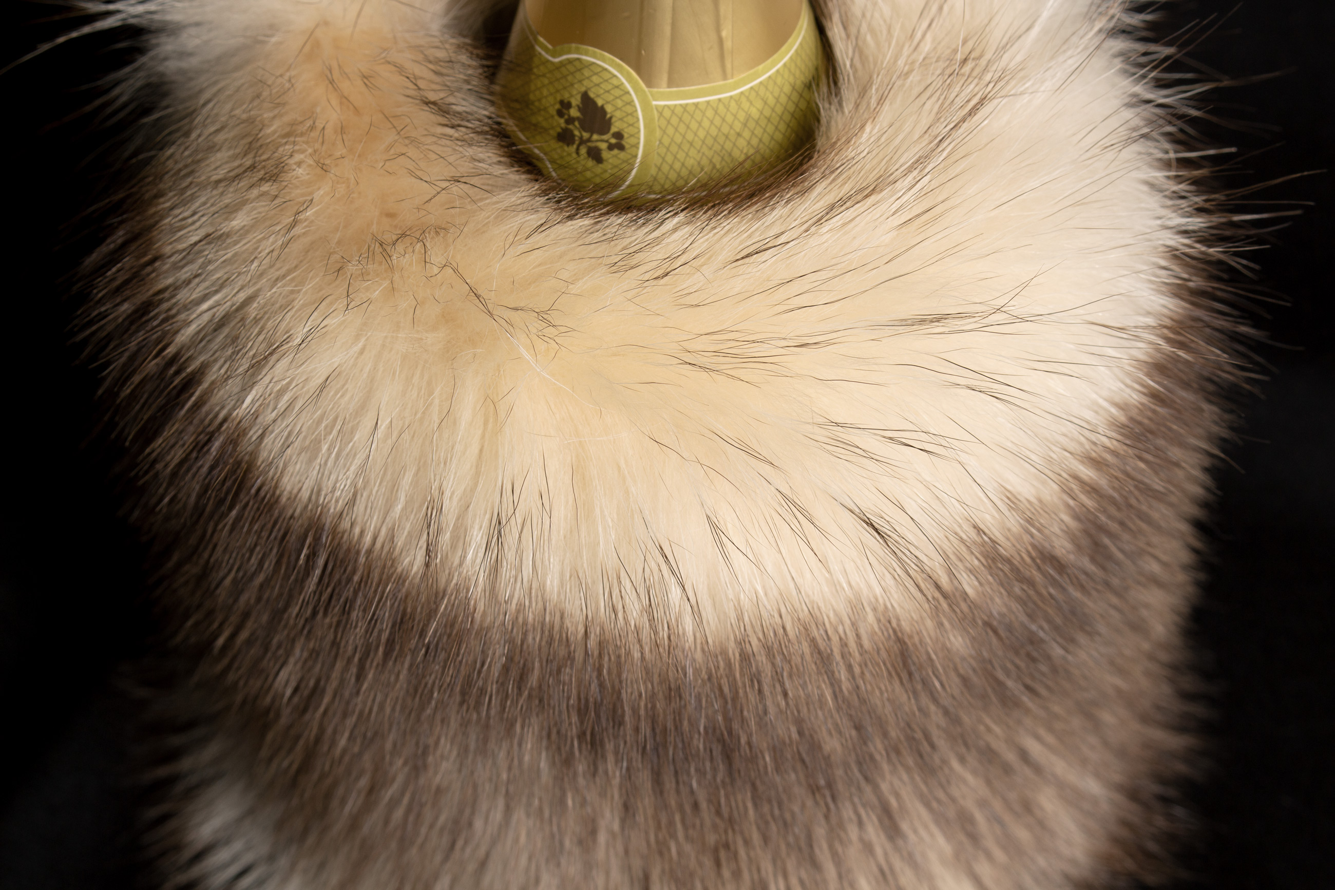 3-7030-Weinkuehler-beigem-kanadischen-Waschbaer-Lars-Paustian Weinkühler aus beigen kanadischen Waschbärfellen