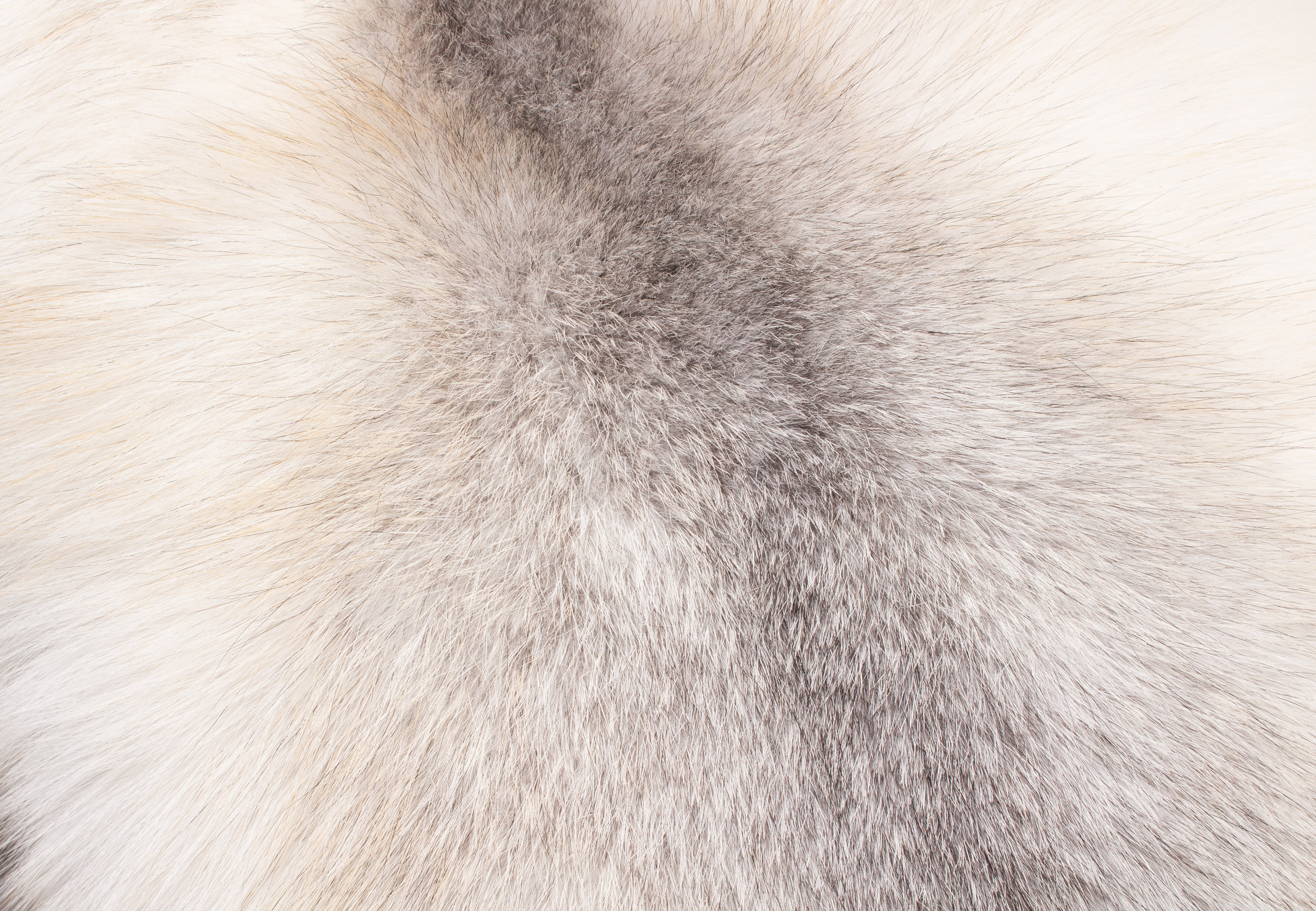 Echtes Fellkissen aus Sun Glo Fuchs