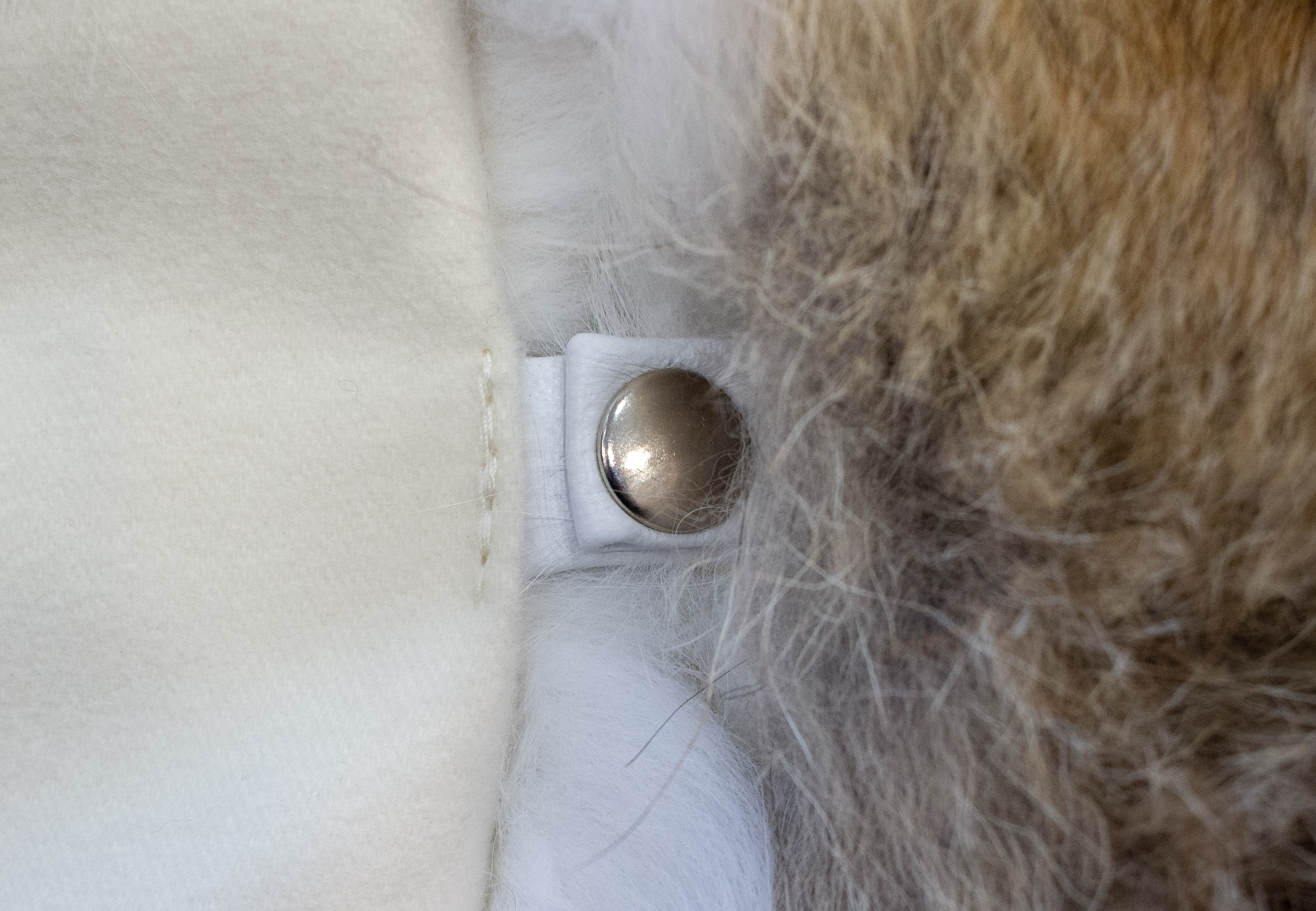 10-7017-Kojotenfelldecke-Shadow-Fuchs-Innenab-tterung-Kaschmir Kojoten-Shadow-Fuchs Schlafsack Inlet