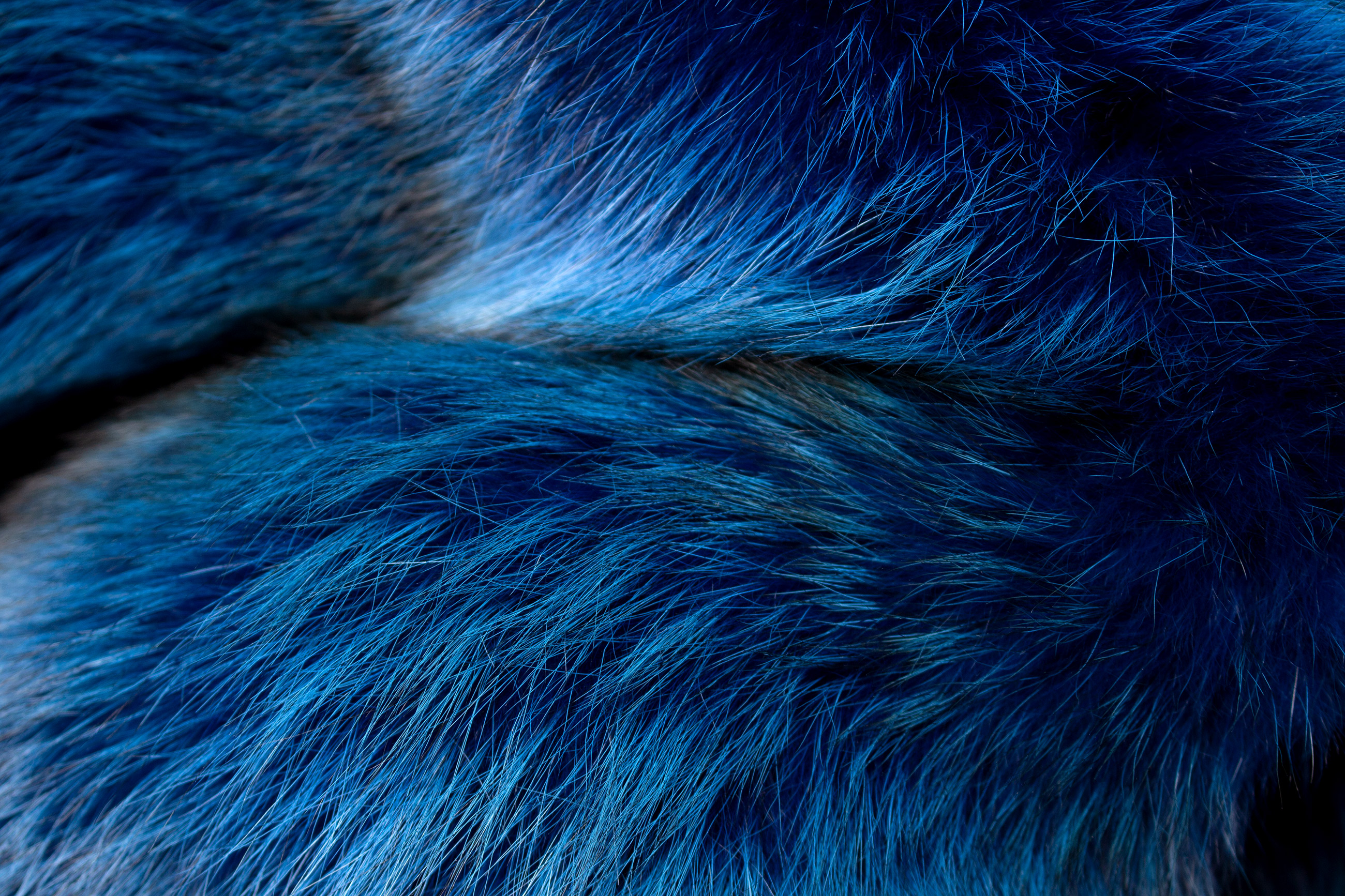 Flauschige Echtpelz Rotfuchs Decke in Meeresblau