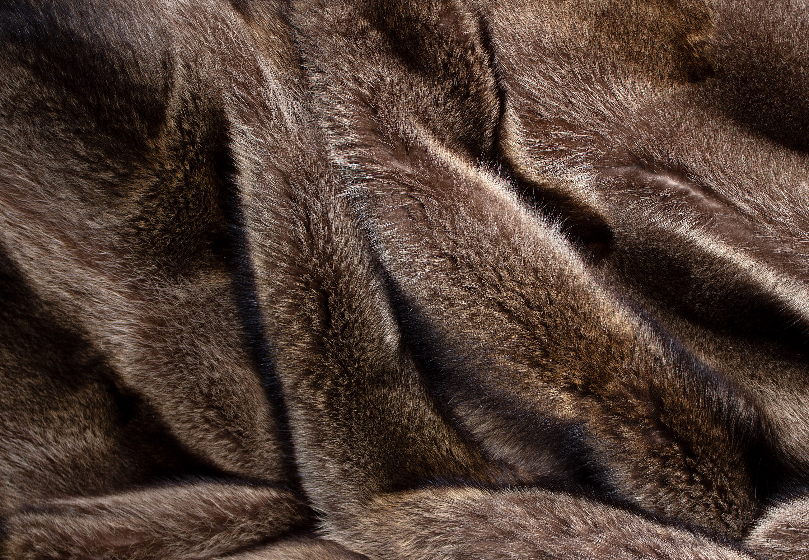 7-378-Pelzdecke-aus-naturfarbenem-Waschbaer-Fur-Harvesters-Lars-Paustian Echte Felldecke aus naturfarbenem Waschbärfell