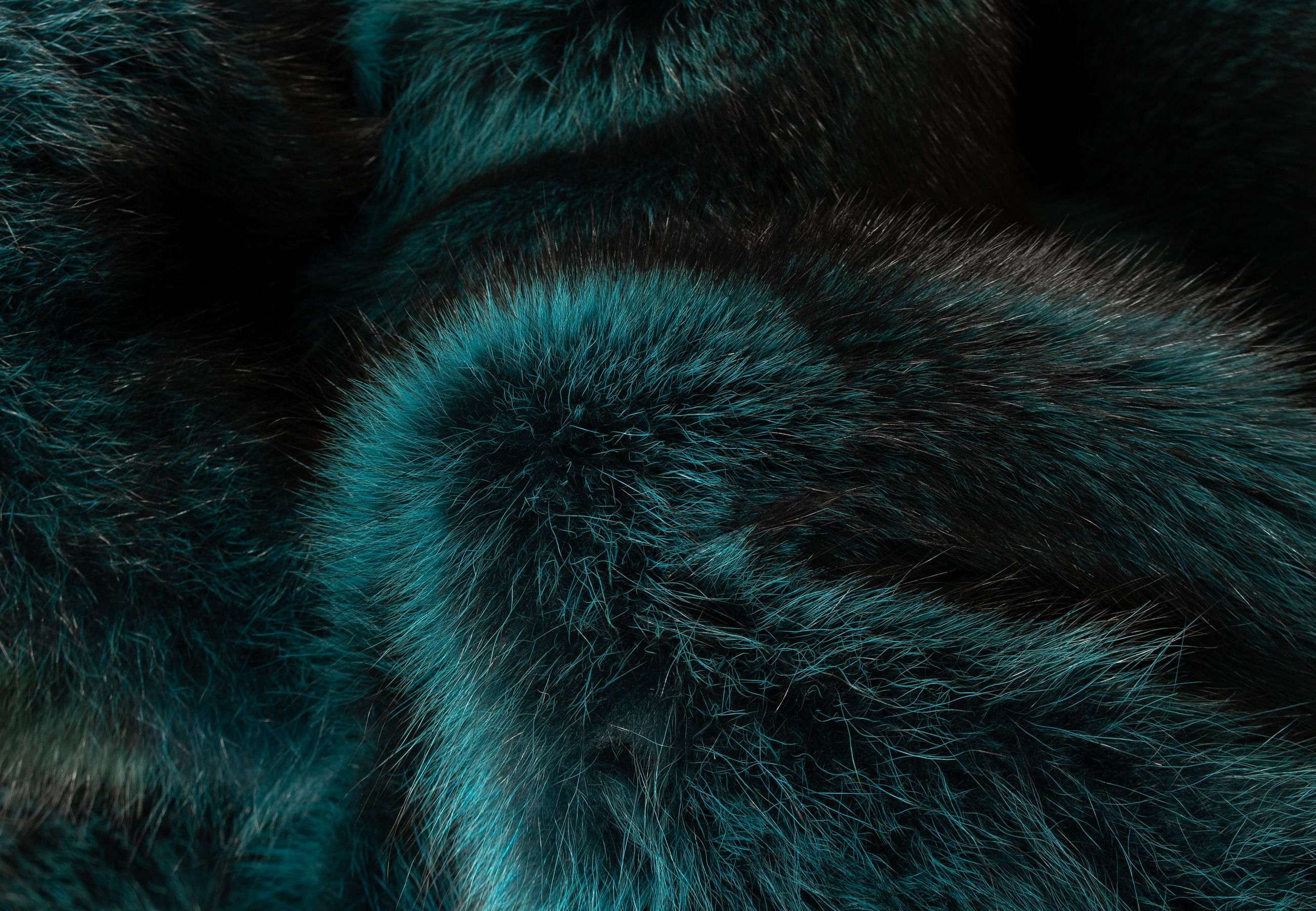 Besondere Waschbär Felldecke in Türkis Besondere Waschbär Felldecke in Türkis