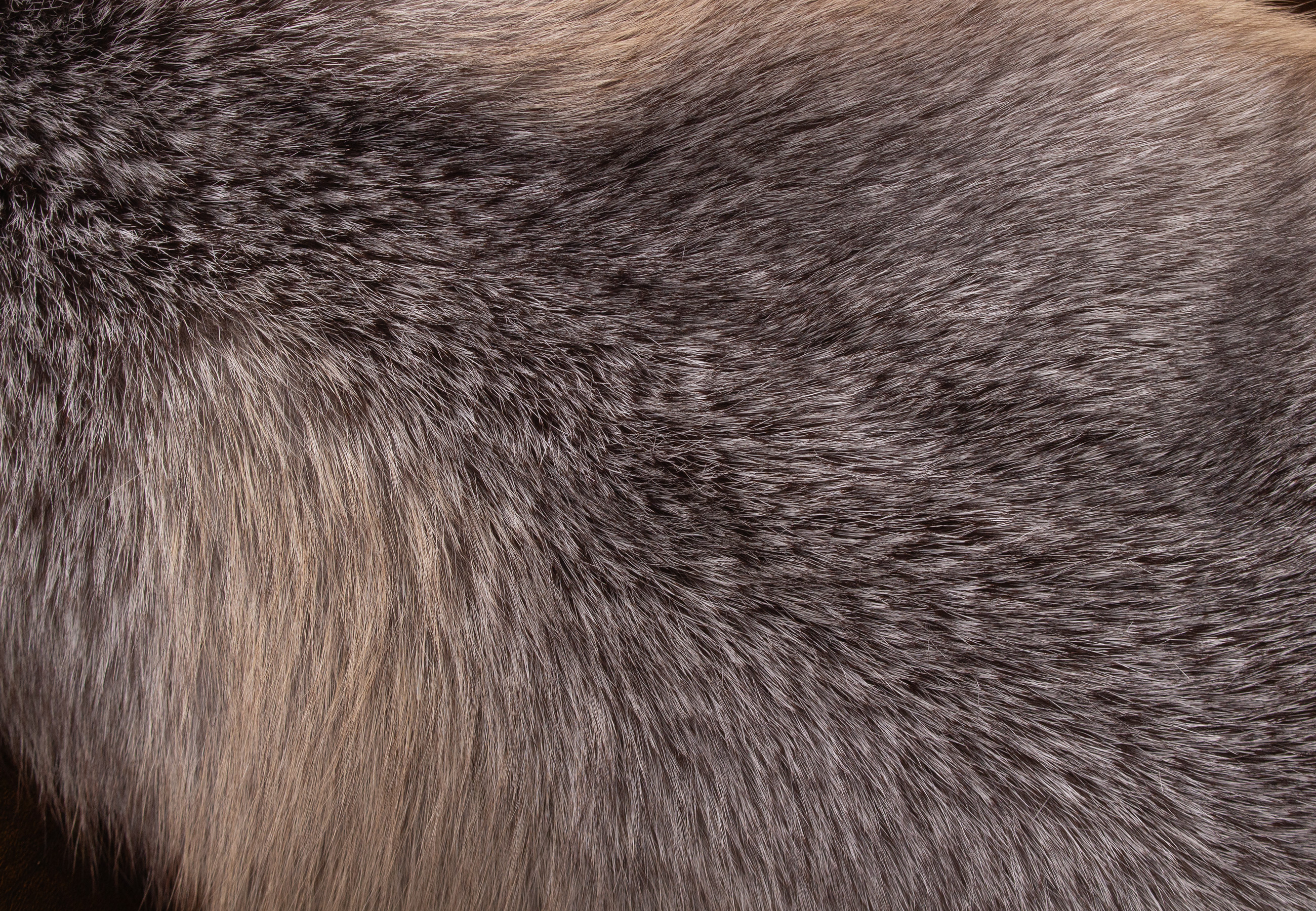Kuscheliges Blue Frost Fuchs Fellkissen "Northern Light"