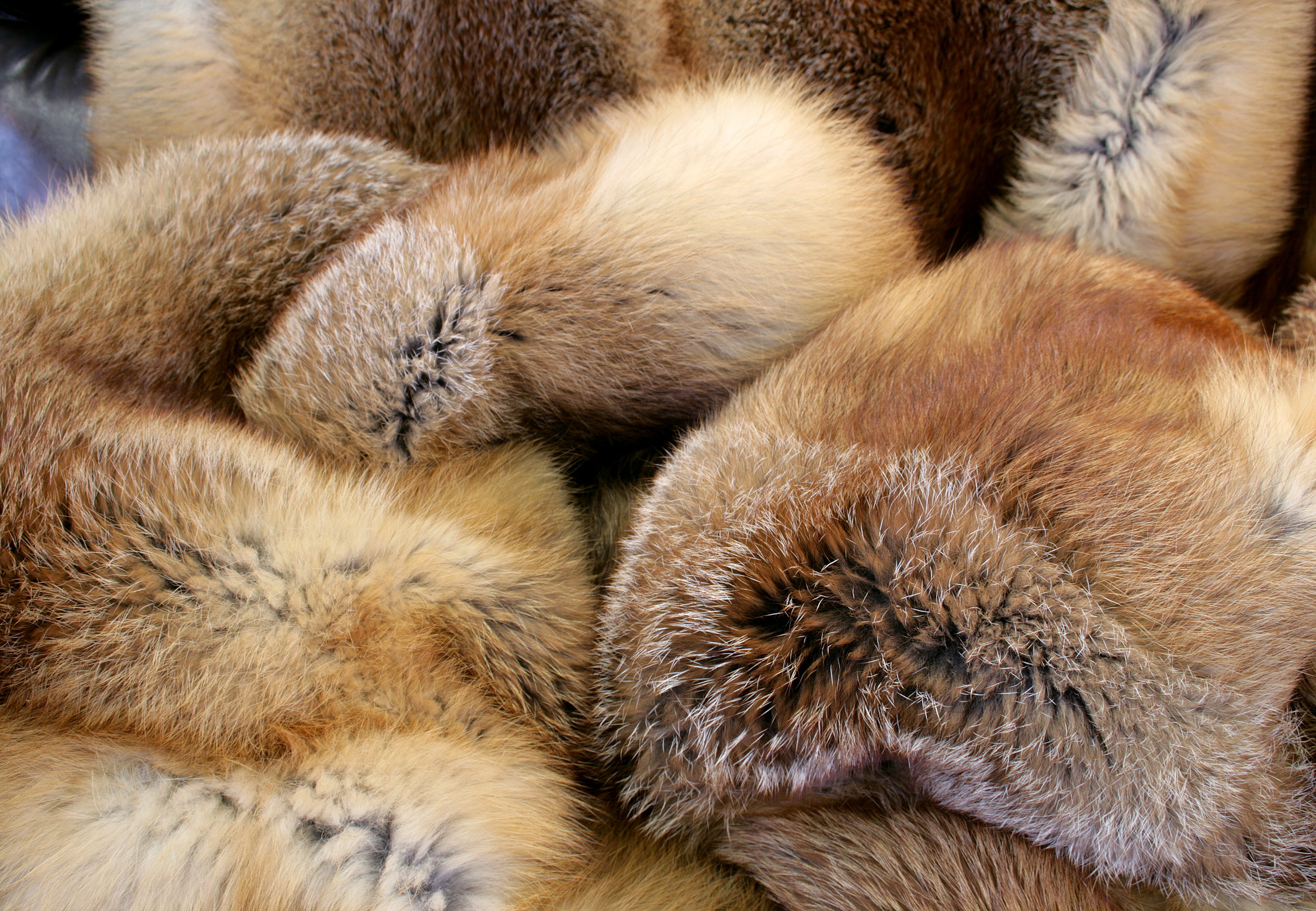 5-rotfuchs-felldecke-detail582c89319ecca Felldecke aus europäischem Rotfuchs "Almflair"