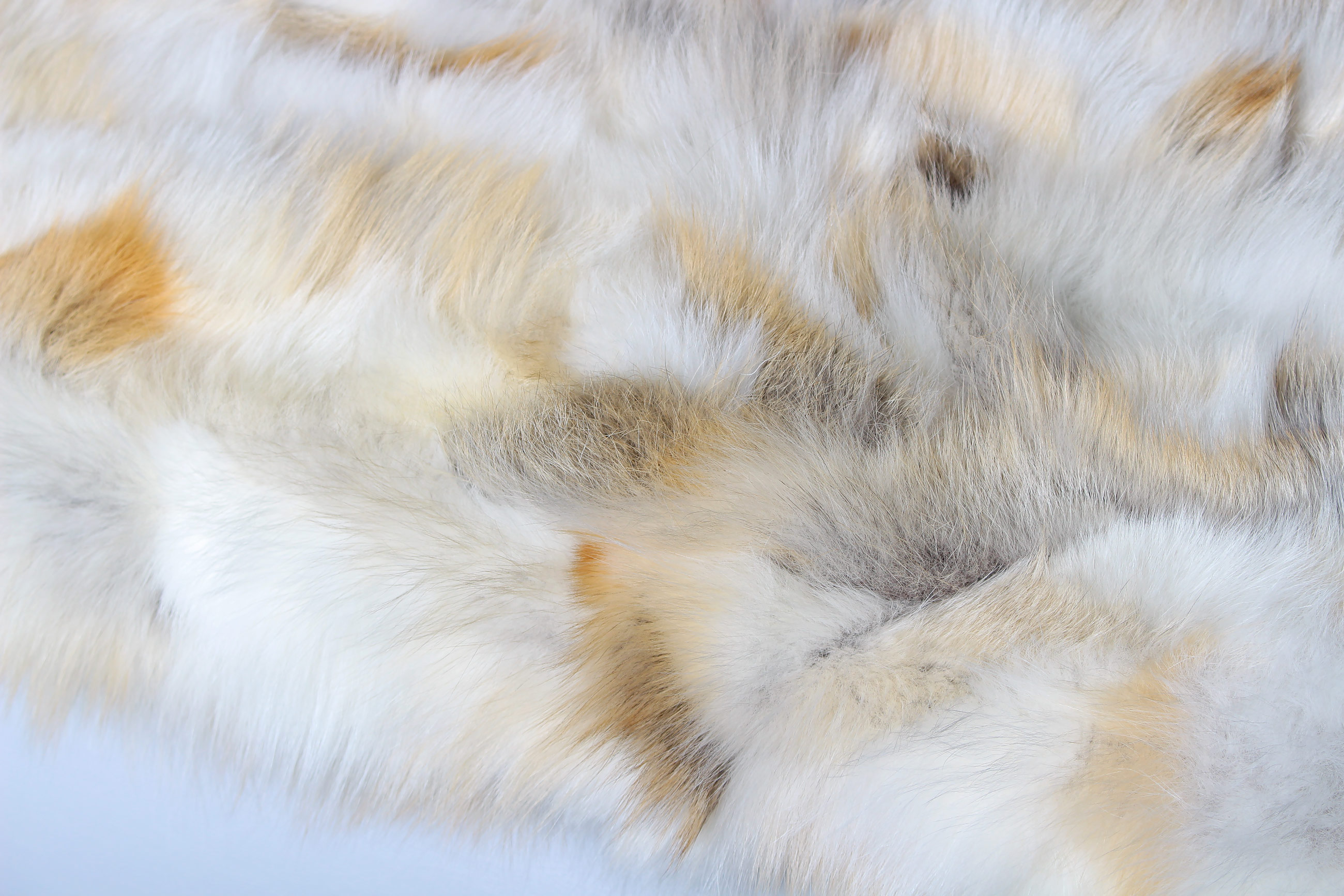Weiße Sitztruhe mit Golden Island Fuchs Stücken Bezug