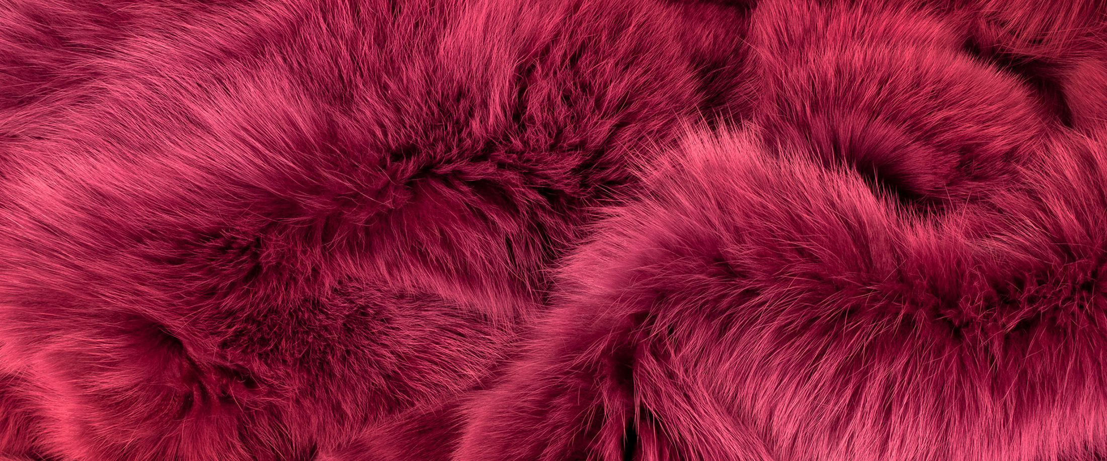 2024-valentines-background