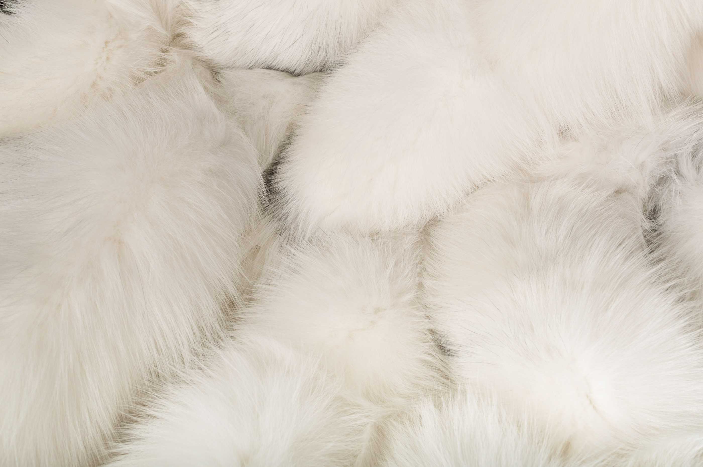 Skandinavische Shadow Bluefrost Fuchs Decke Skandinavische Shadow Bluefrost Fuchs Decke