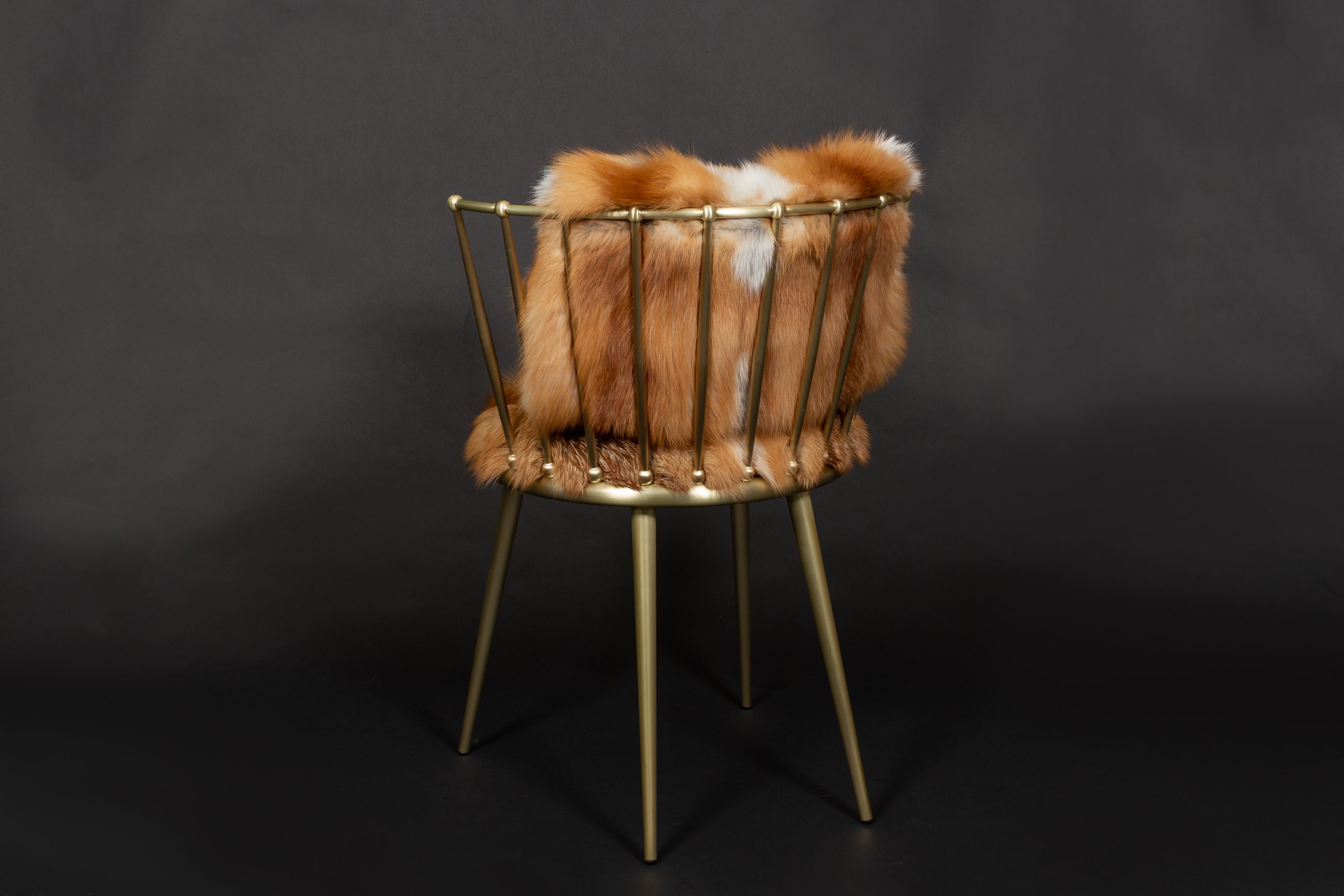 Rotfuchs Stuhl aus Europäischen Rotfüchsen - Cantori