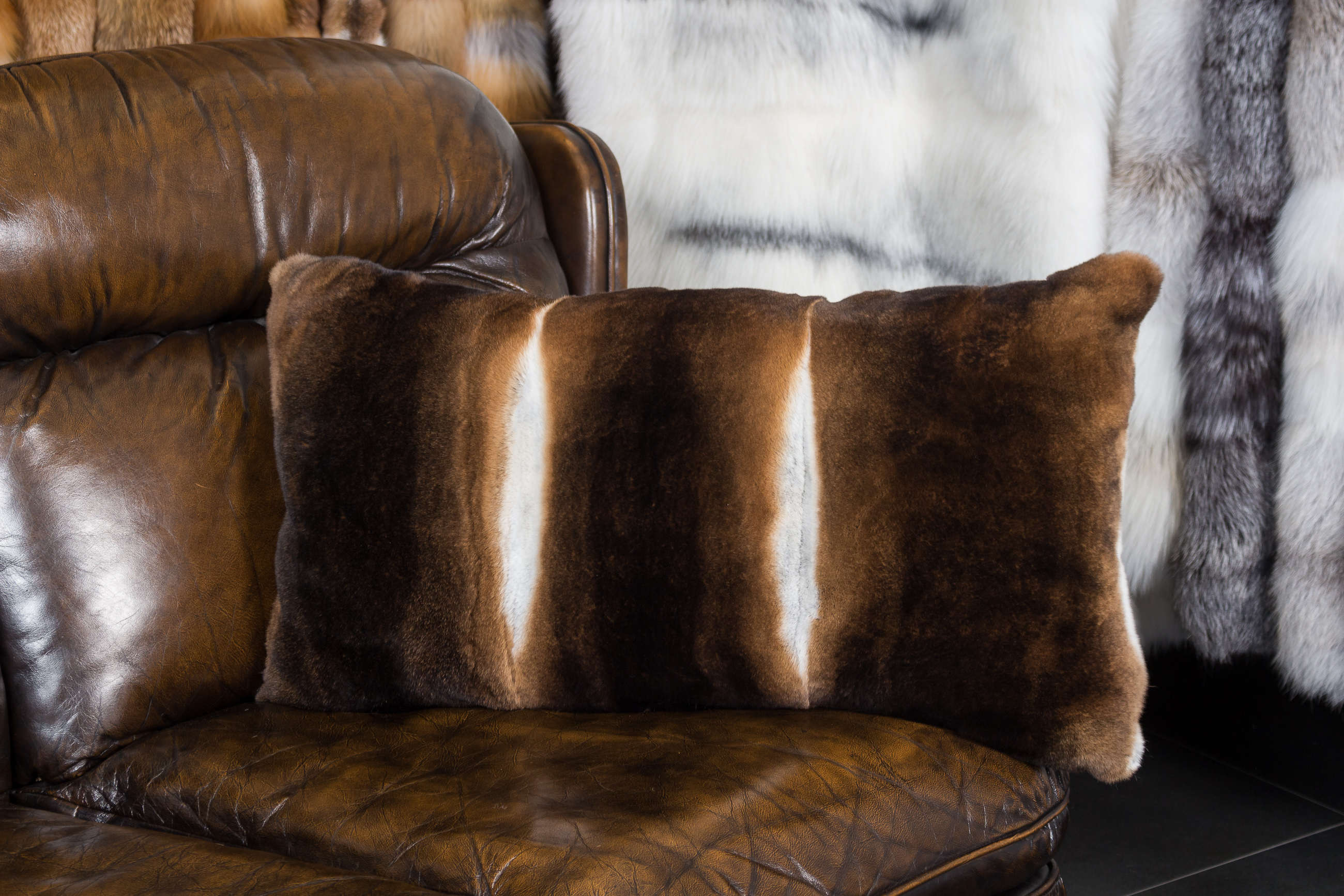 1-7671-Kaninchen-Kissen-Castor-Rex-Kanin Kaninchen Kissen aus Castor Rex Kanin