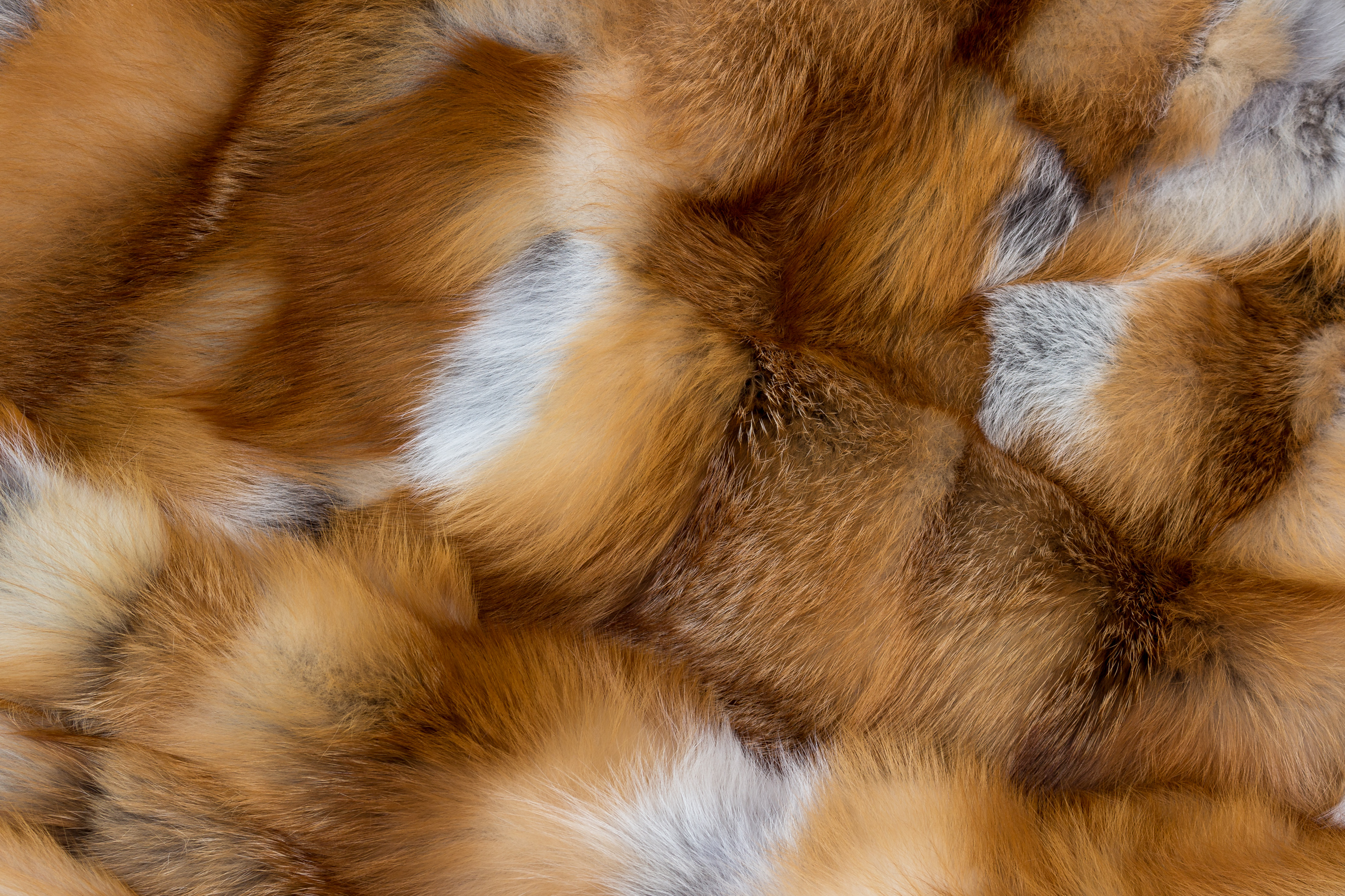 8-1343-Kanadische-Rotfuchsdecke-Echtpelz 8-1343-kanadische-rotfuchsdecke-echtpelz