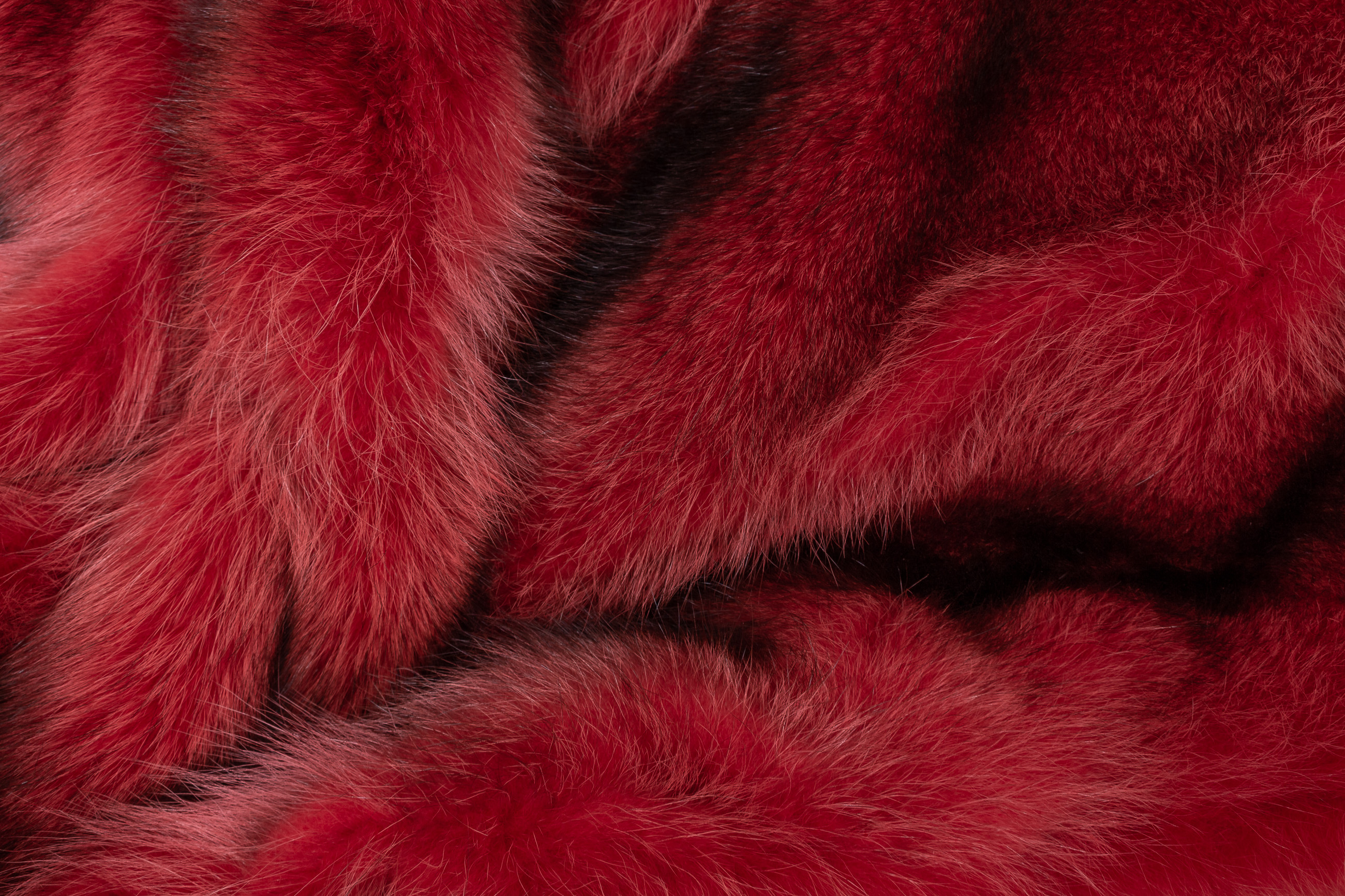 6-5545-Waschbaer-Felldecke-Rot-aus-Kanadischen-Waschbaeren Waschbär Felldecke in Rot aus Kanadischen Waschbären