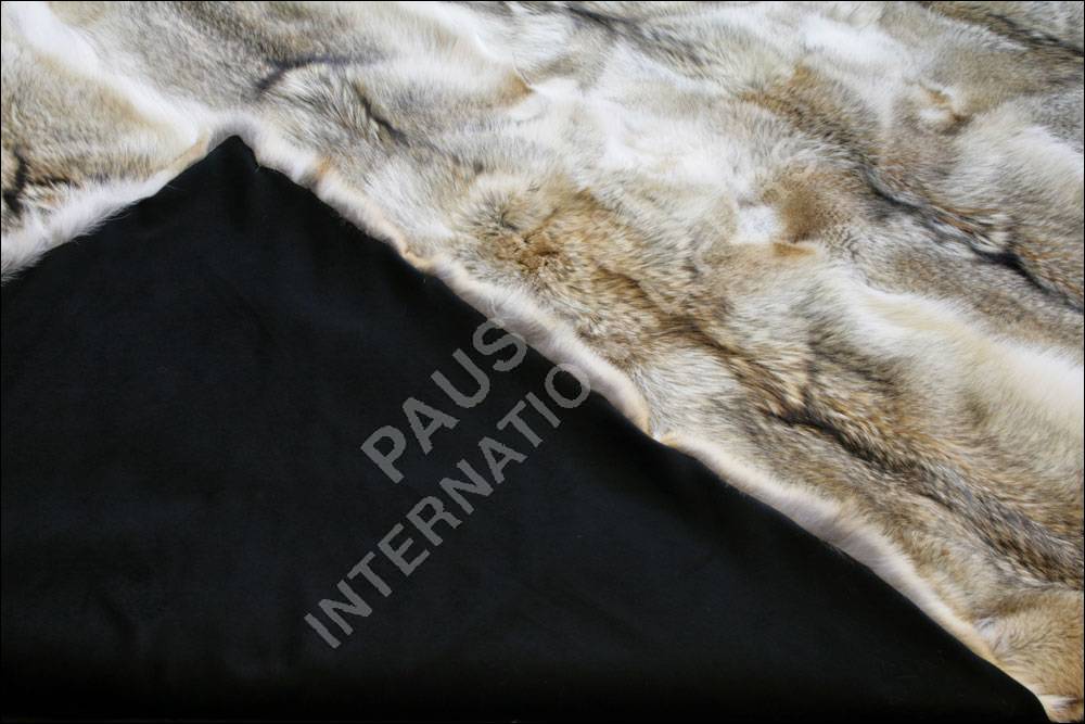 6-367-fellteppich-kojote Exklusiver Fellteppich aus Kojoten