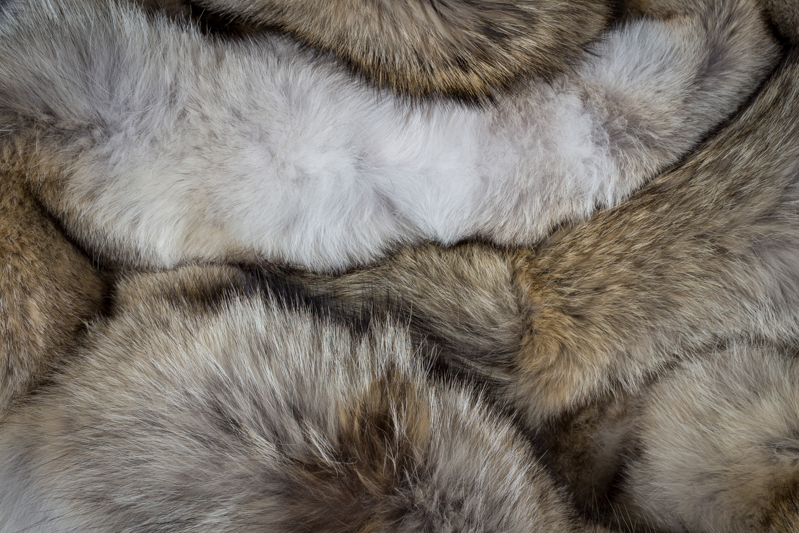 Kanadischer Kojoten Fellteppich - Runde Form