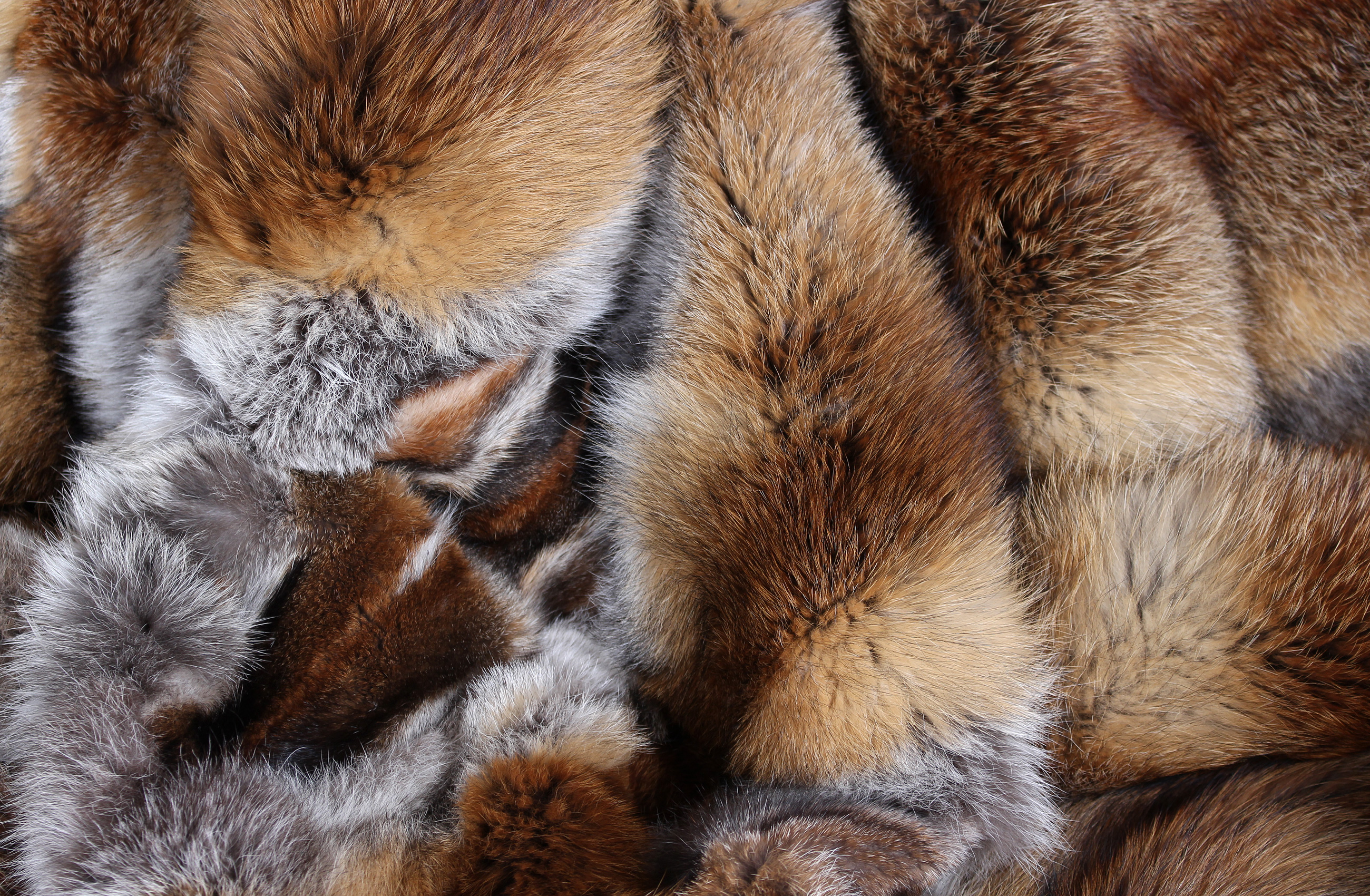 5-europ-ische-rotfuchs-felldecke-dunkler-naturton