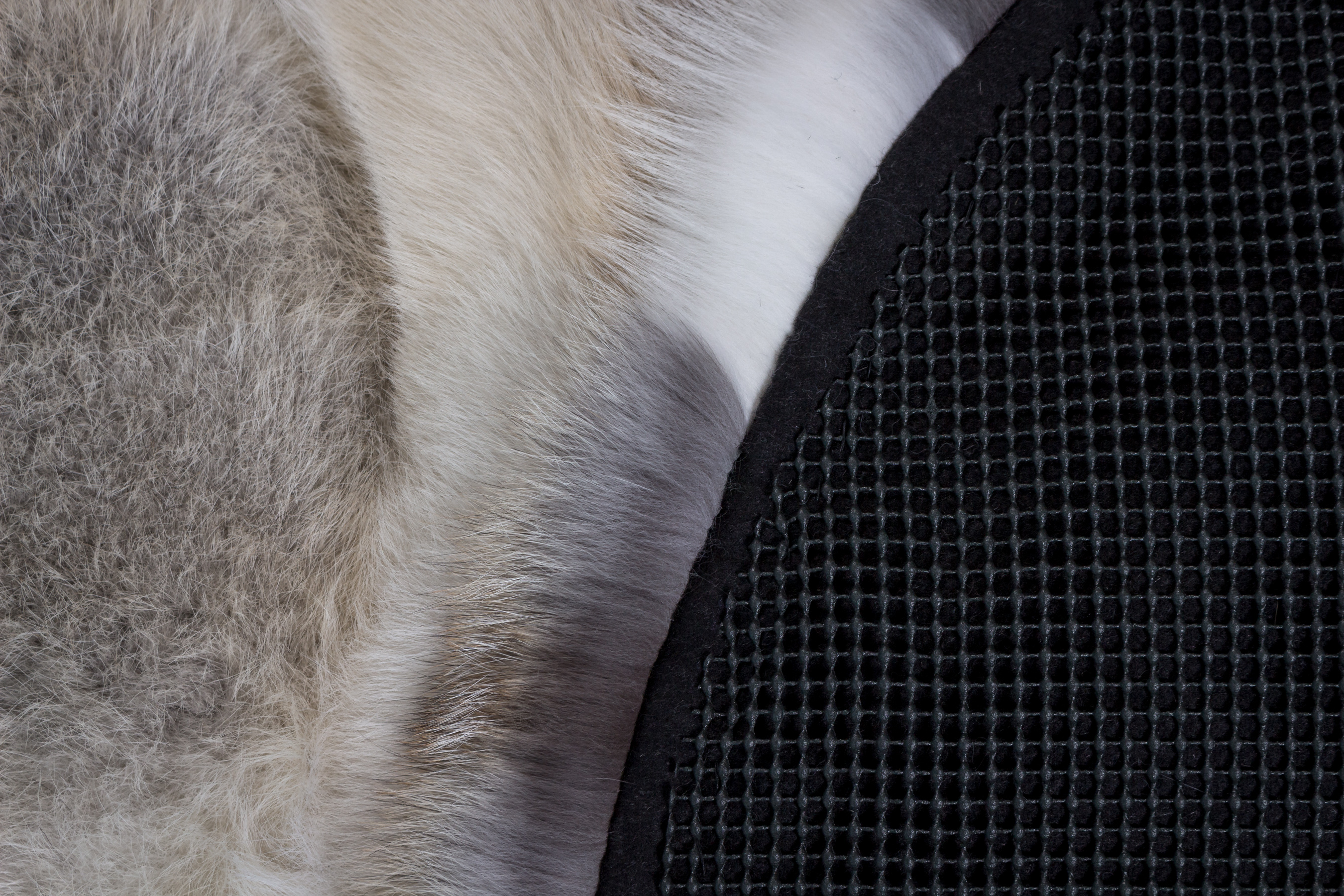 Fawnlight Fuchs Teppich - Ovale Form