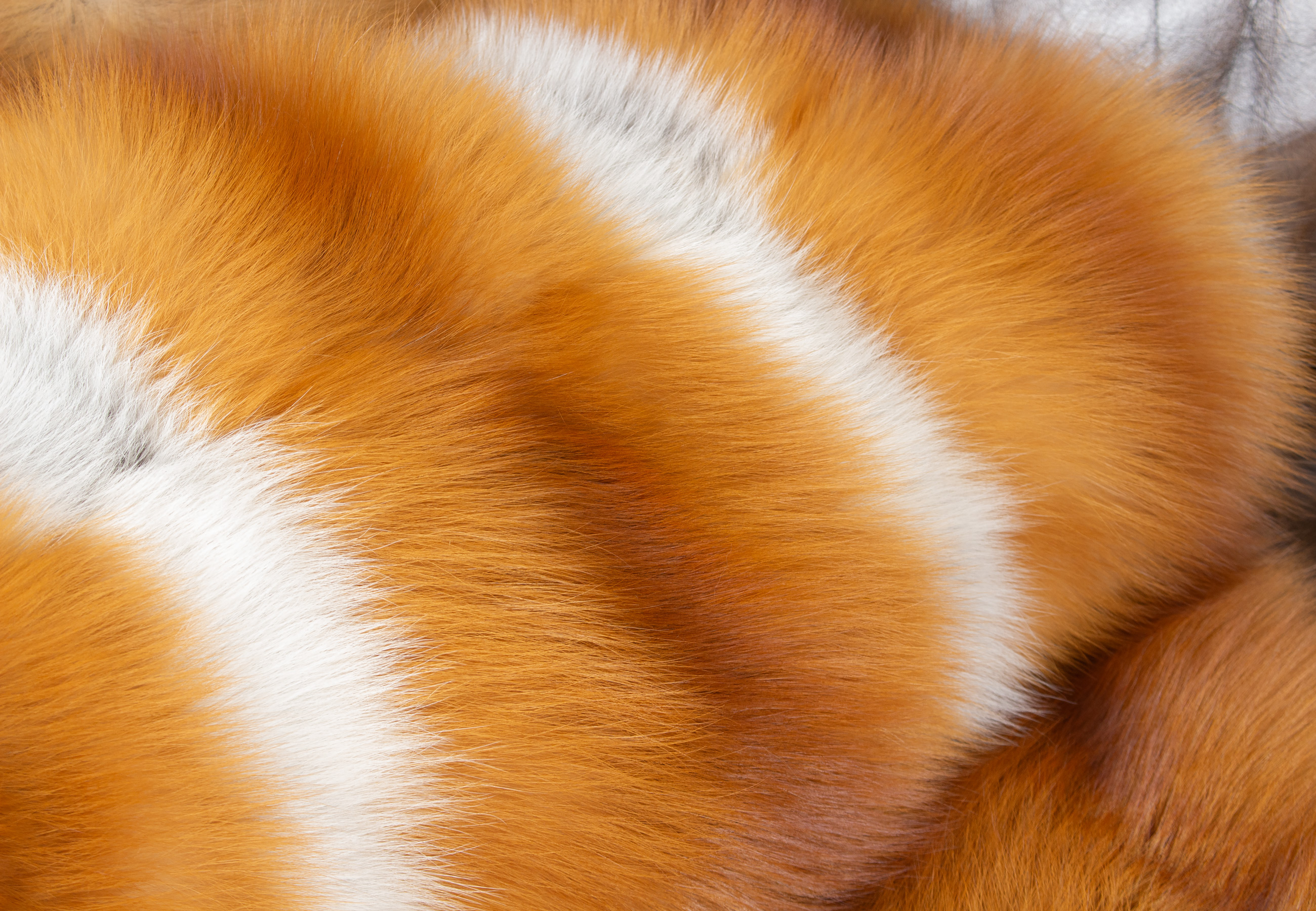 Kuscheliges Kanadisches Rotfuchs Pelz Plaid