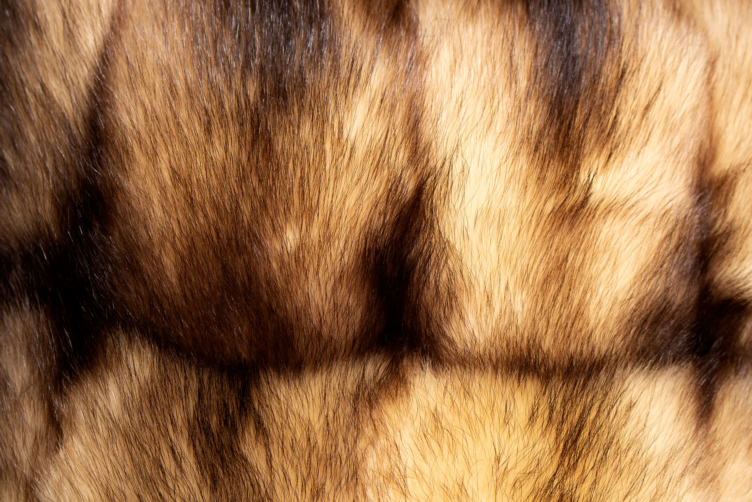 4-2462-helles-Iltis-Pelz-Kissen-kanadisches-Echtfell-Lars-Paustian Helles Iltis Pelz Kissen aus kanadischem Echtfell - Doppelseitig Fell