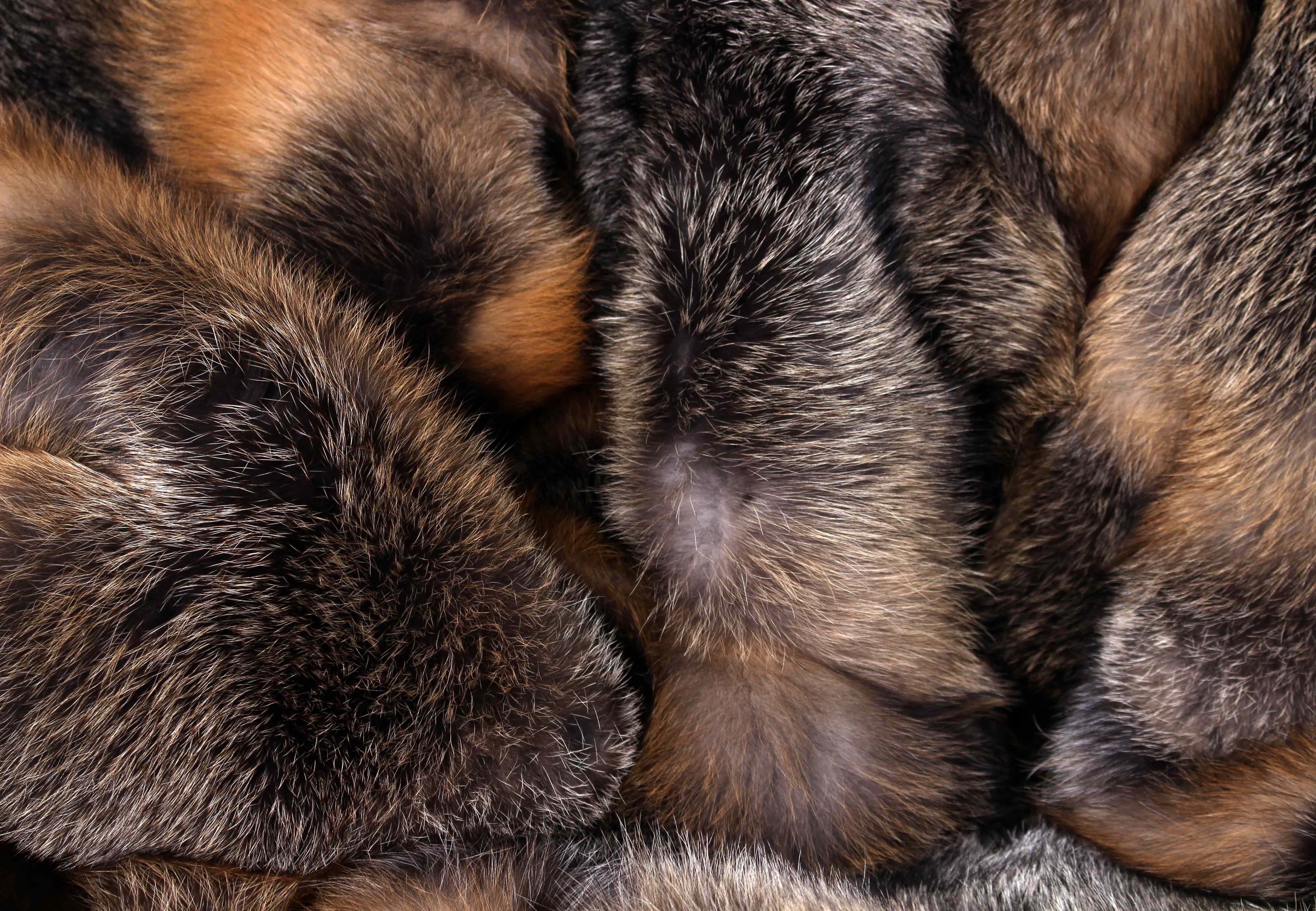 05-1344-Kanadische-Wild-Cross-Fuchs-Pelzdecke 05-1344-kanadische-wild-cross-fuchs-pelzdecke