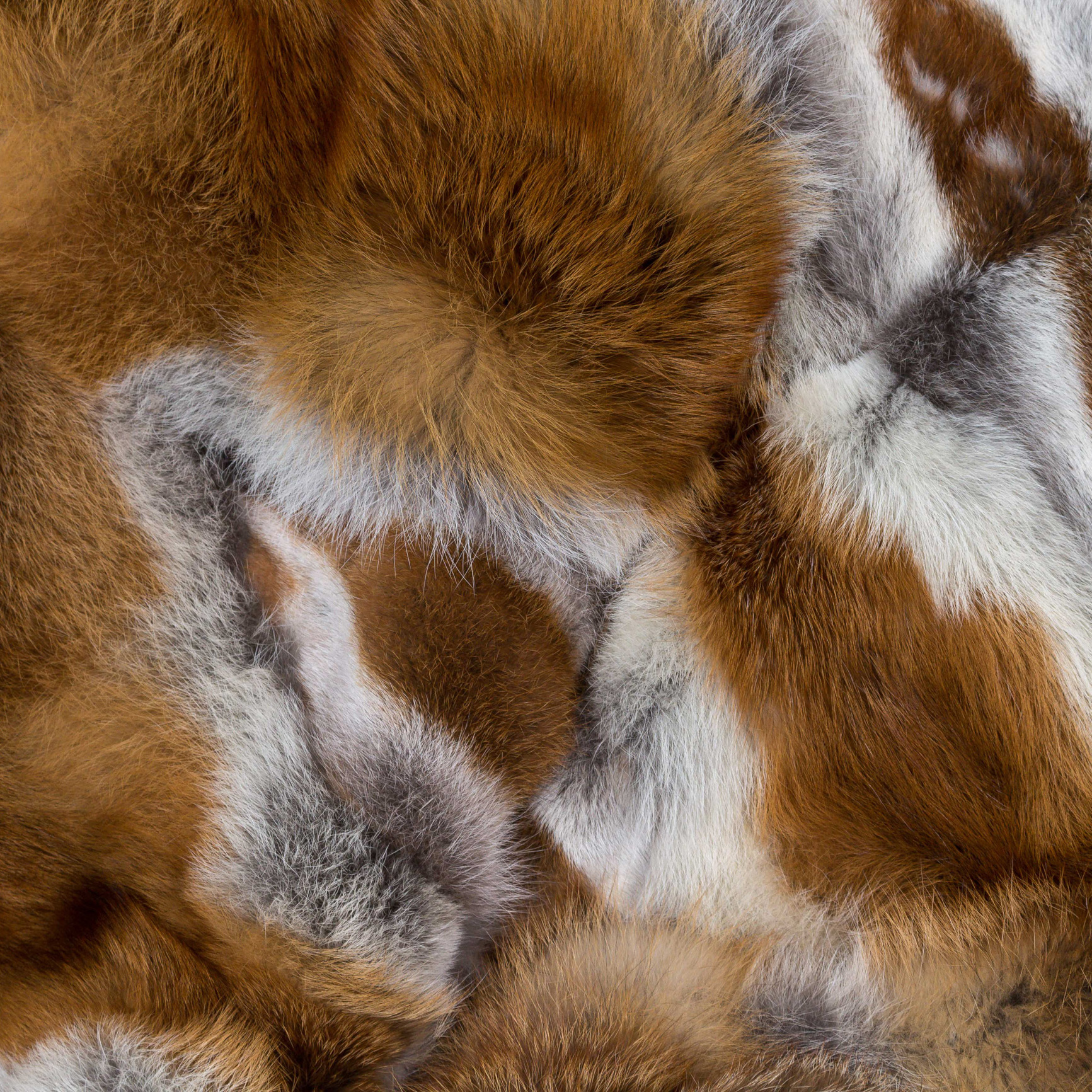 Kategoriebild-Fuchs-500x500 Kategoriebild-Fuchs-500x500