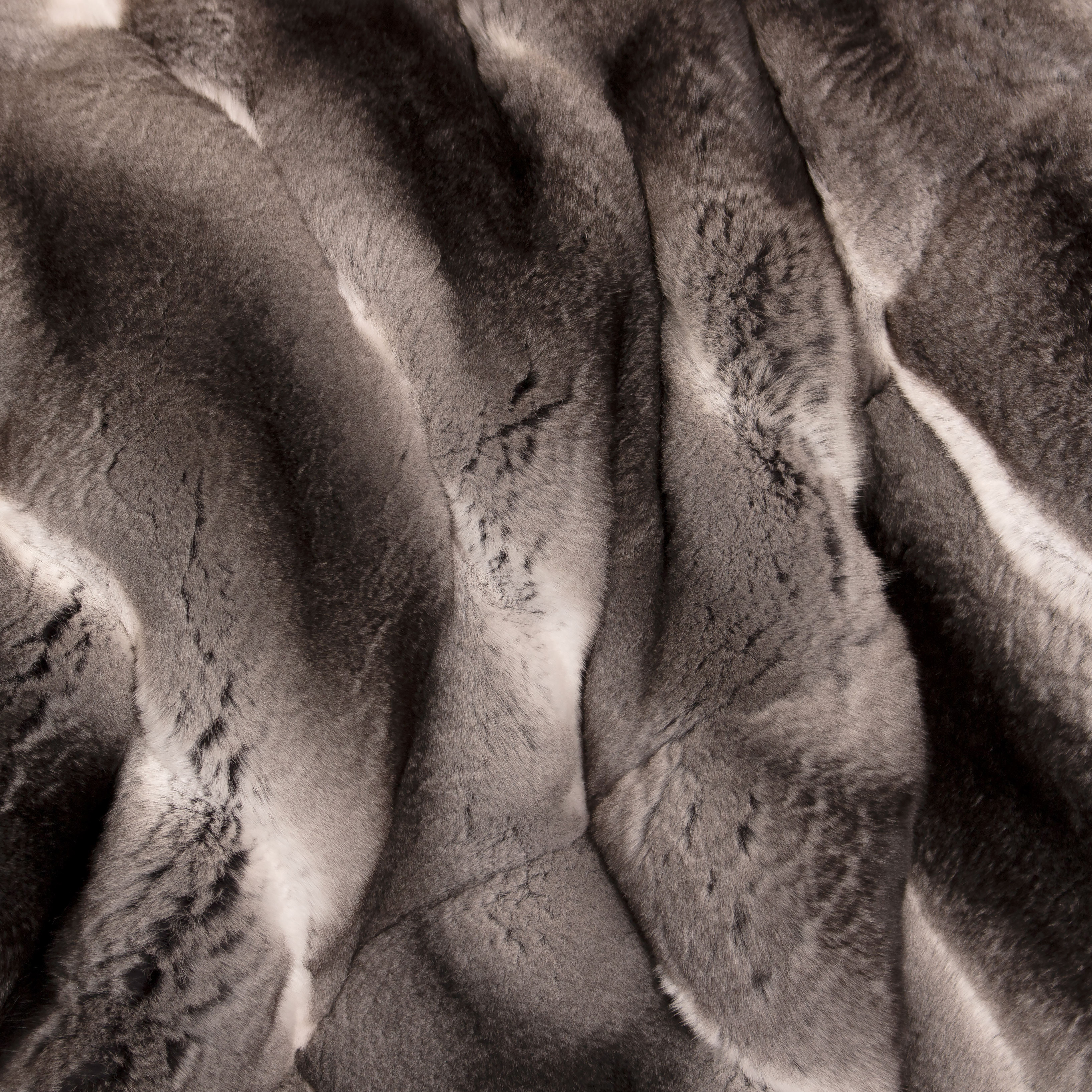 Kategoriebild-Chinchilla-500x500 Kategoriebild-Chinchilla-500x500