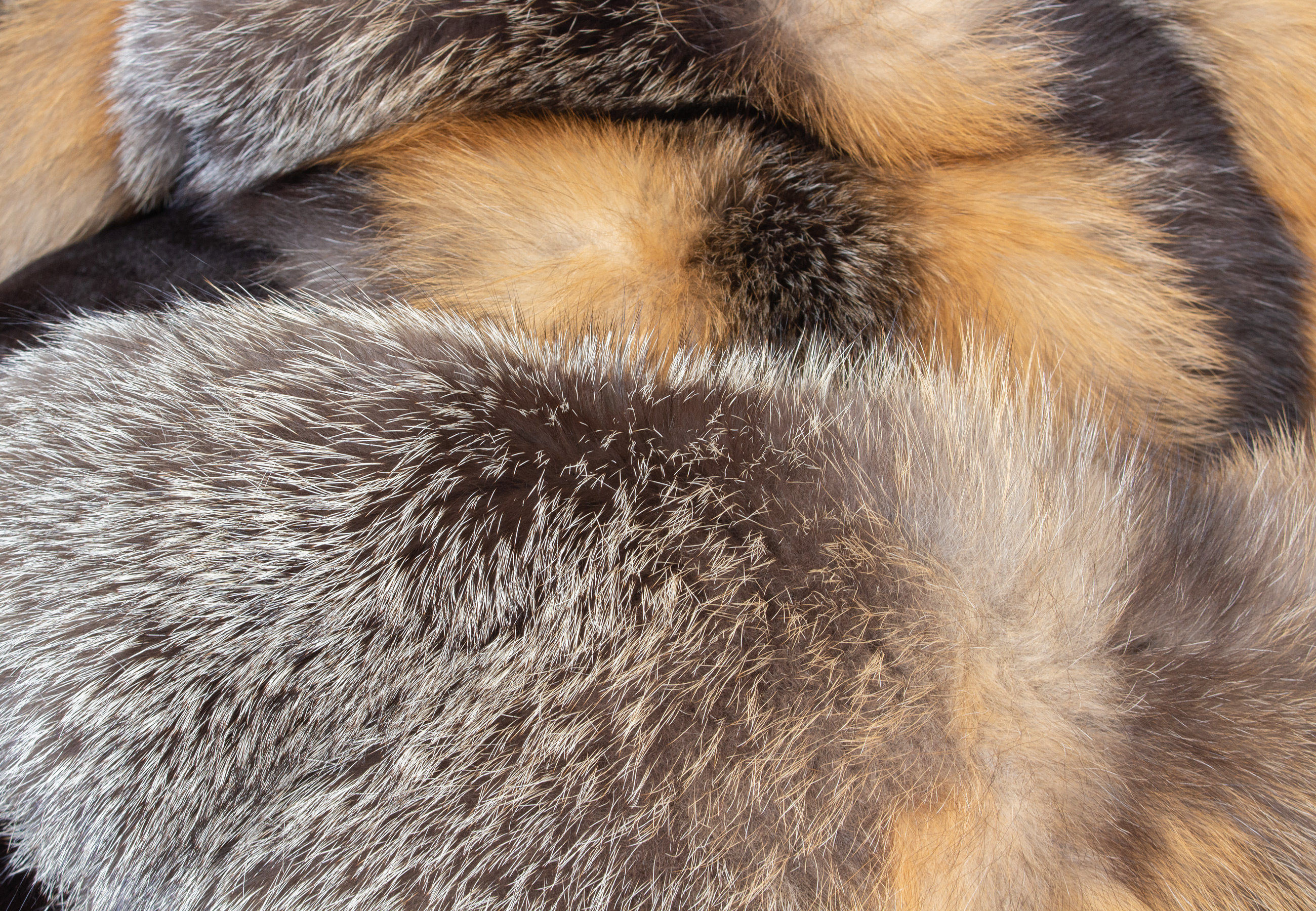 Fell Plaid aus Wild Cross Fuchs