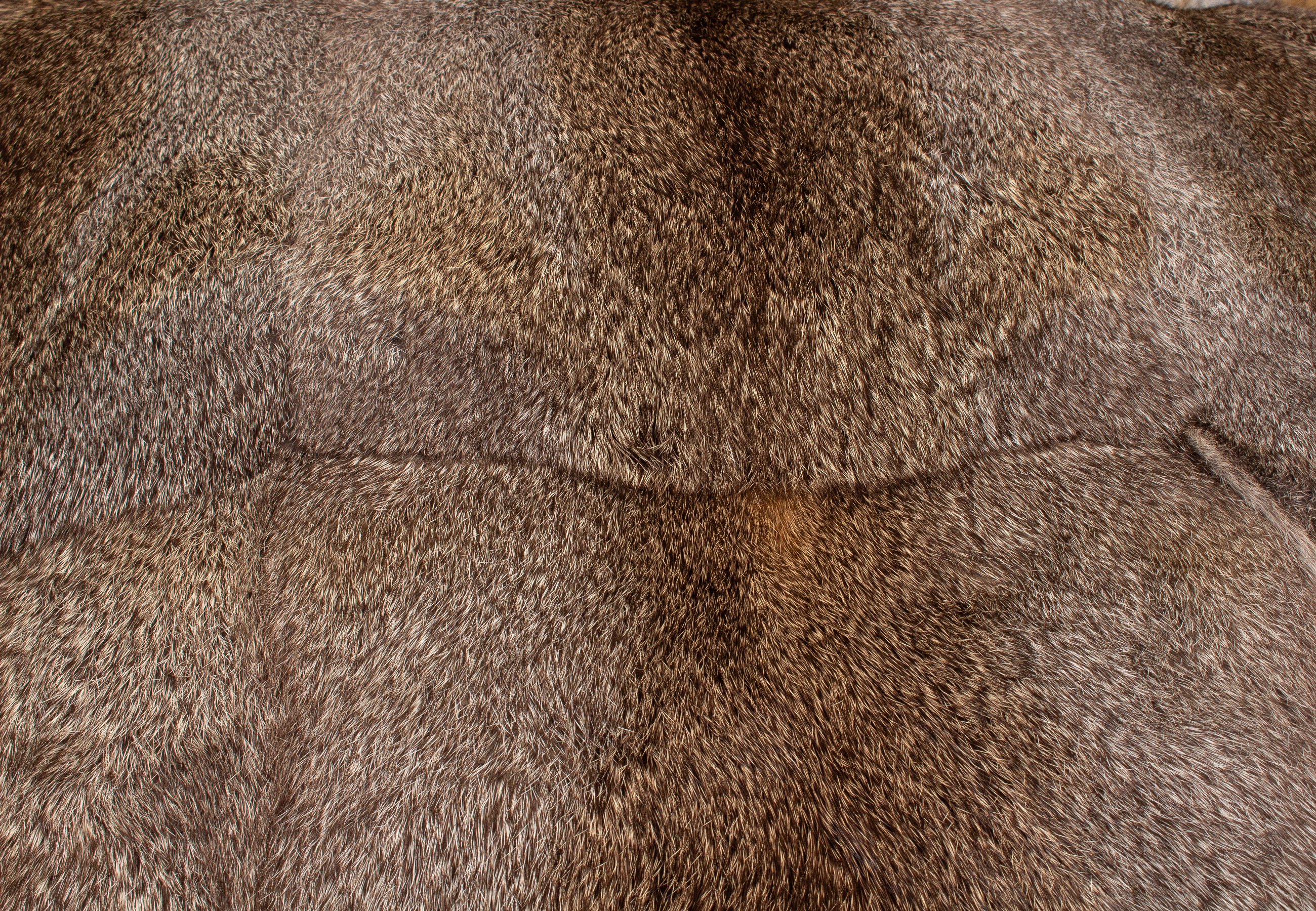 Kuschelwarmes Kaninkissen in Hasenfarbe