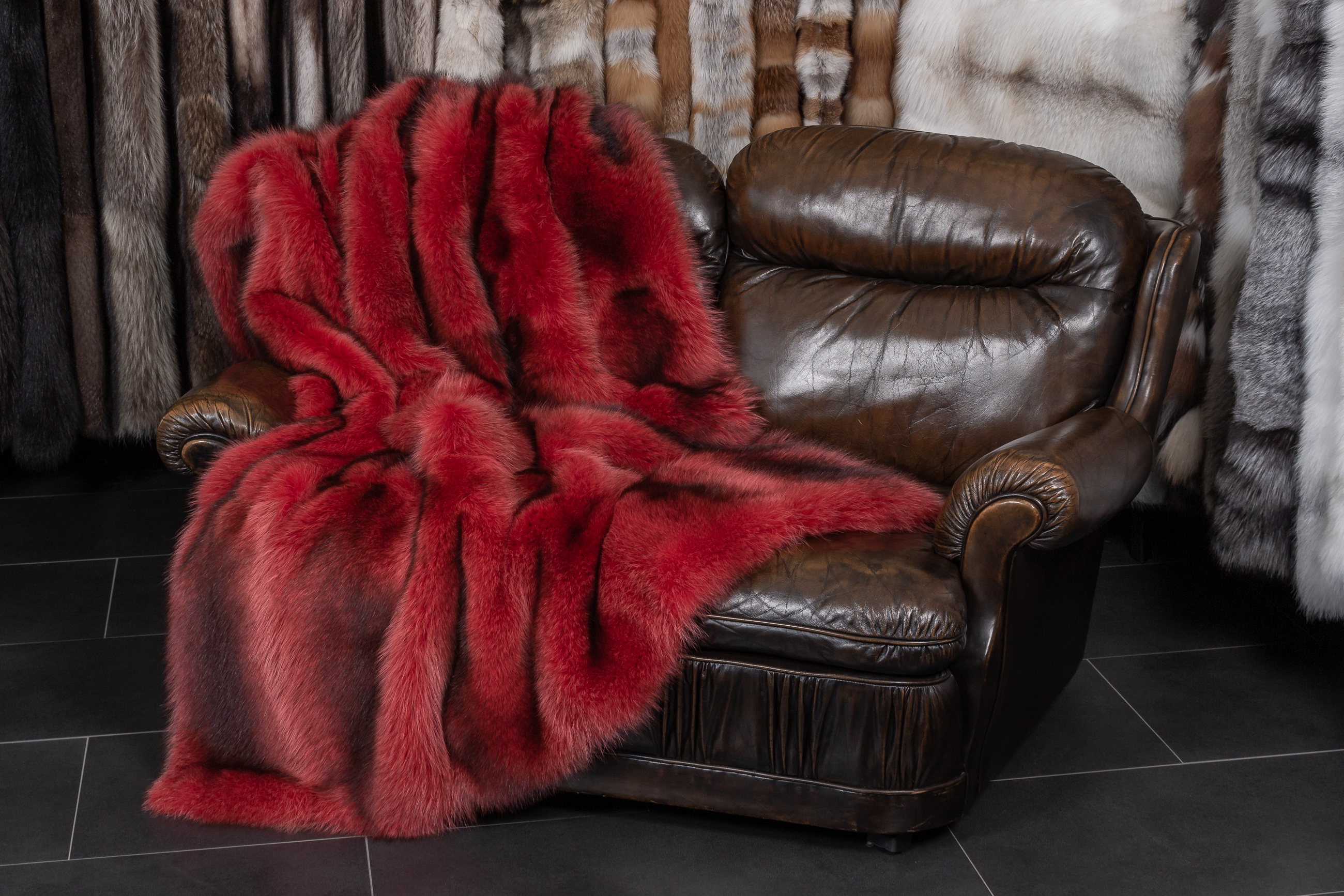 3-5545-Waschbaer-Felldecke-Rot-aus-Kanadischen-Waschbaeren Waschbär Felldecke in Rot aus Kanadischen Waschbären