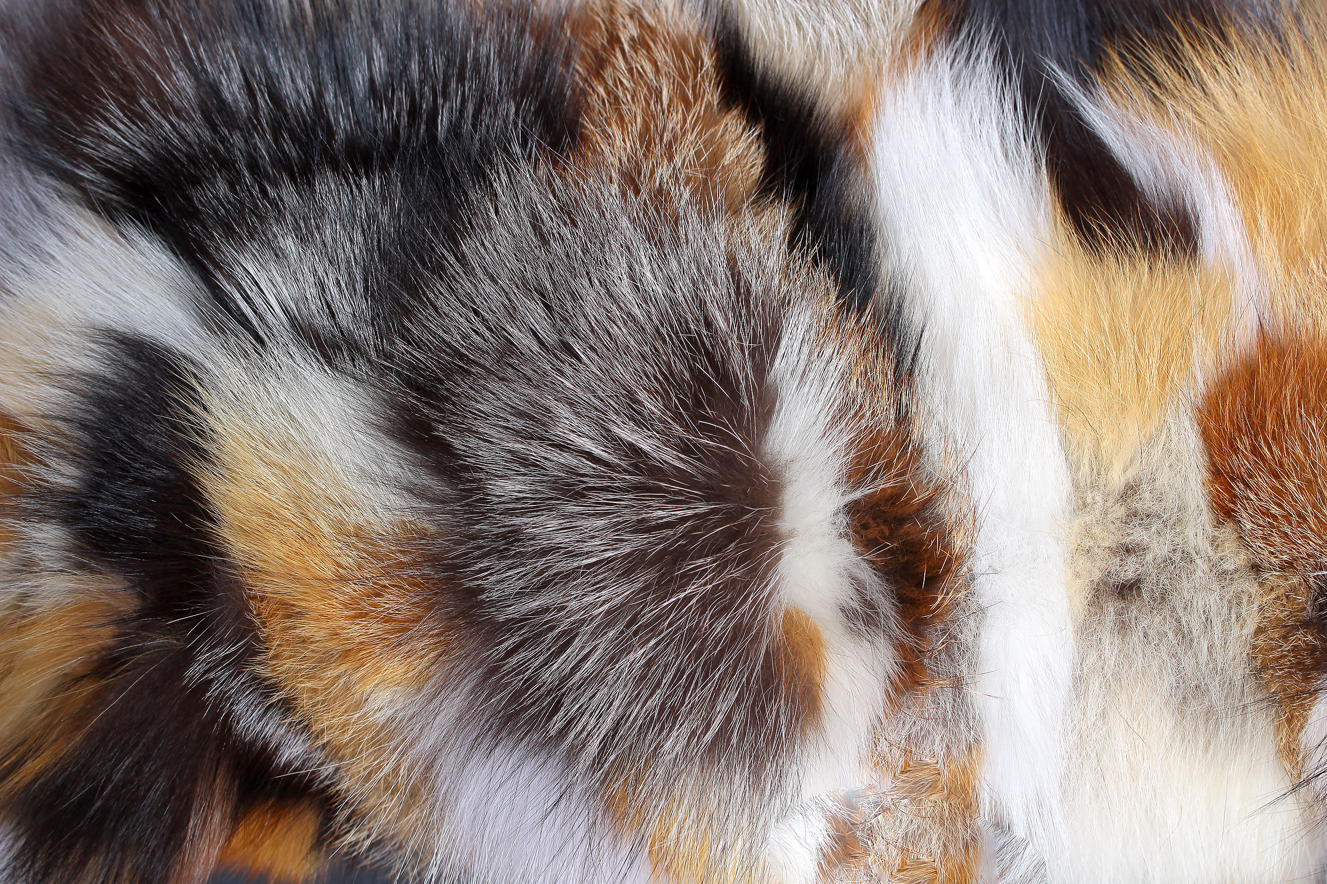 6-3335-Sitzbank-Stauraum-Fuchsfell-bestueckt-Lars-Paustian Sitzbank mit Stauraum und echtem Fuchsfell bestückt