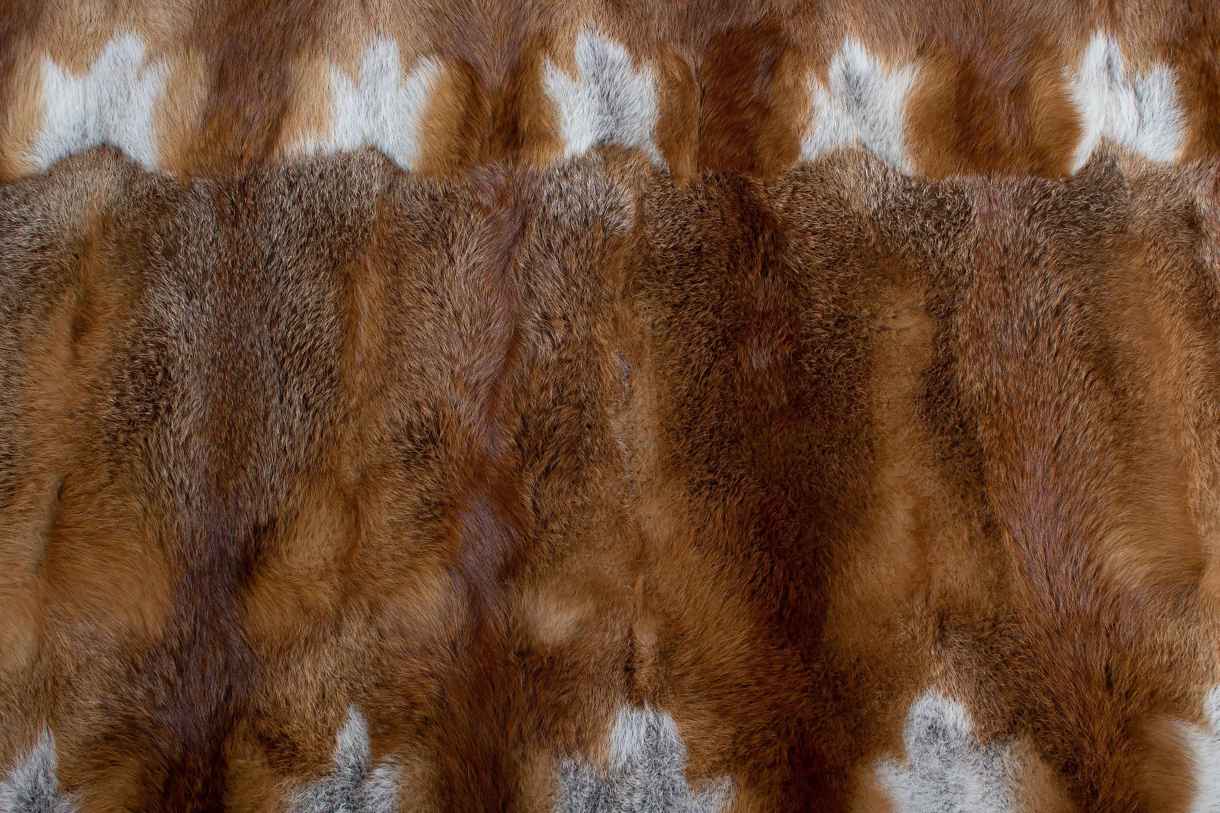 Europäischer Rotfuchs Fellteppich aus Echtfell