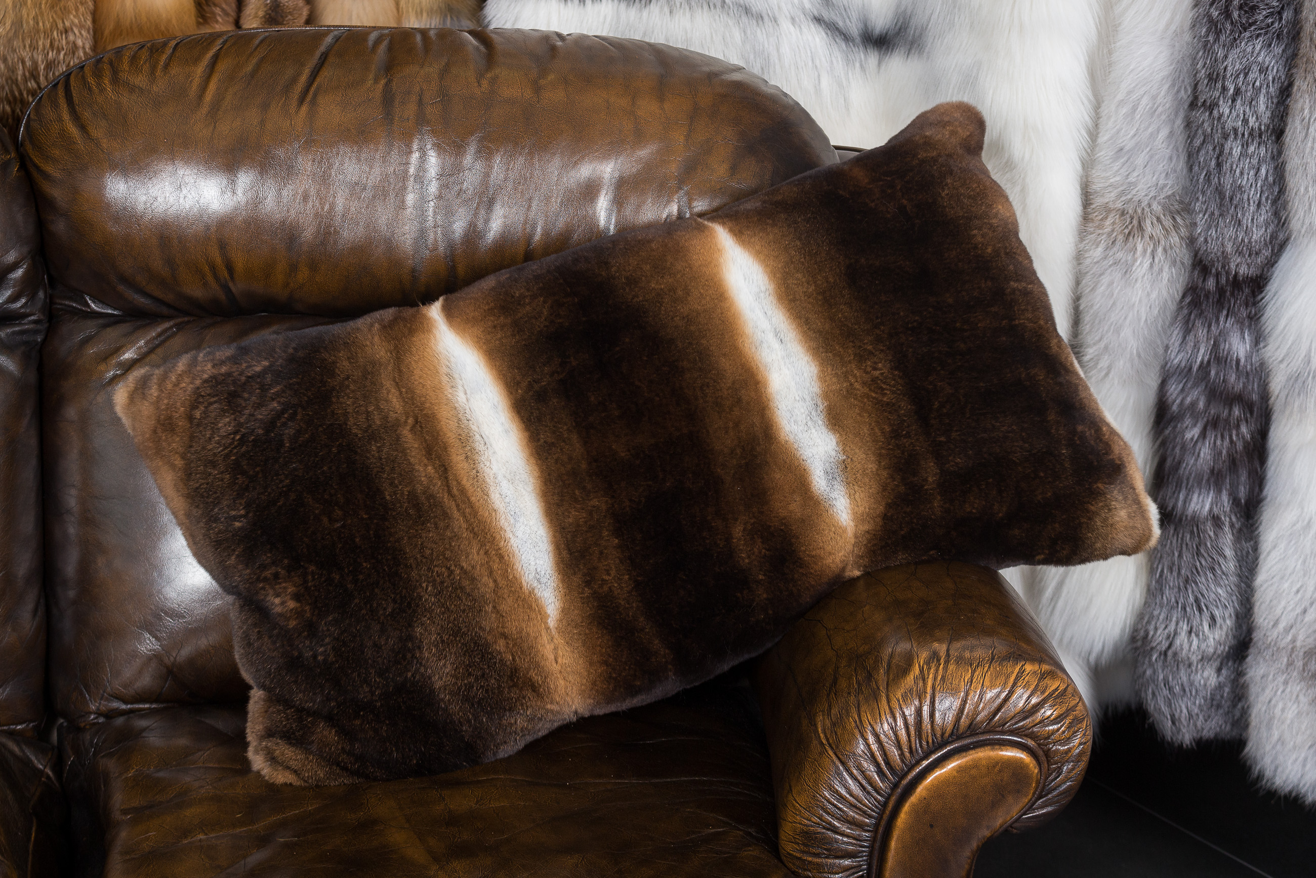 3-7671-Kaninchen-Kissen-Castor-Rex-Kanin Kaninchen Kissen aus Castor Rex Kanin