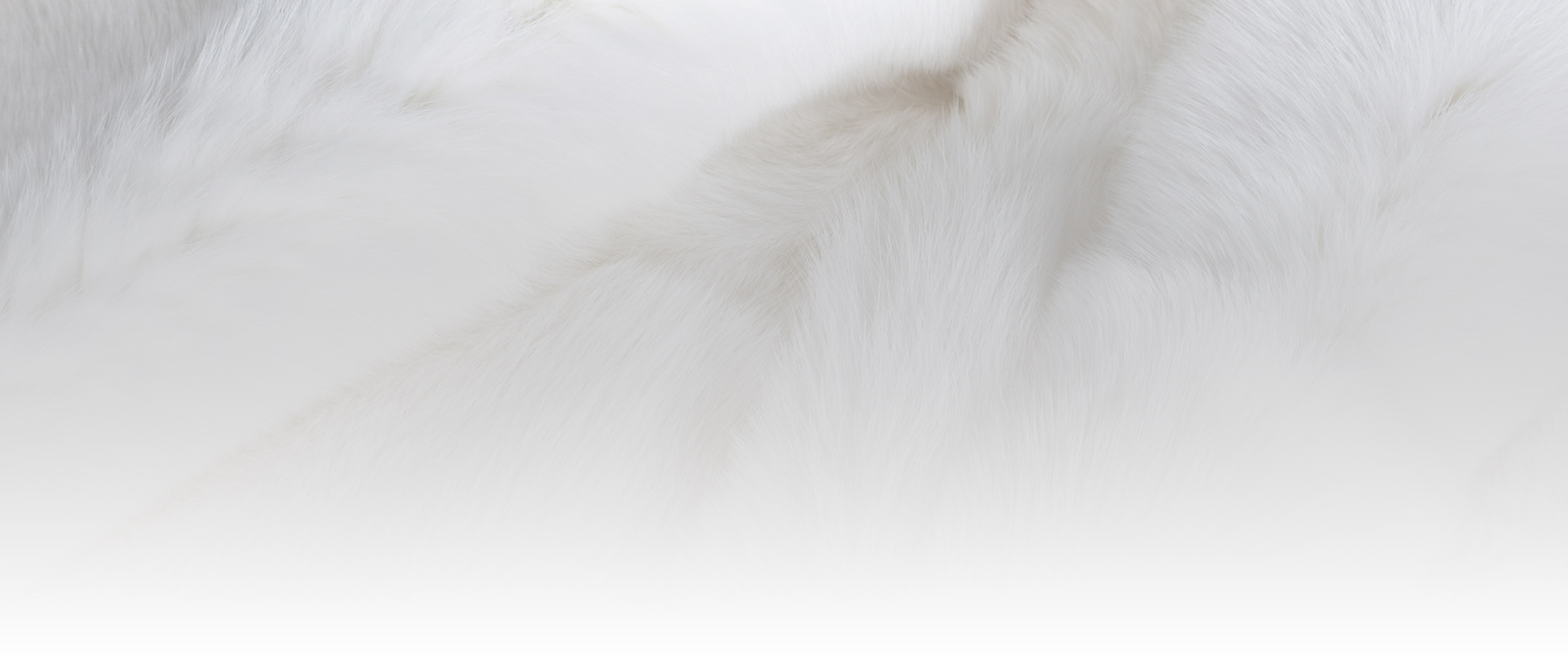Homepage-Banner-Muttertag-2024