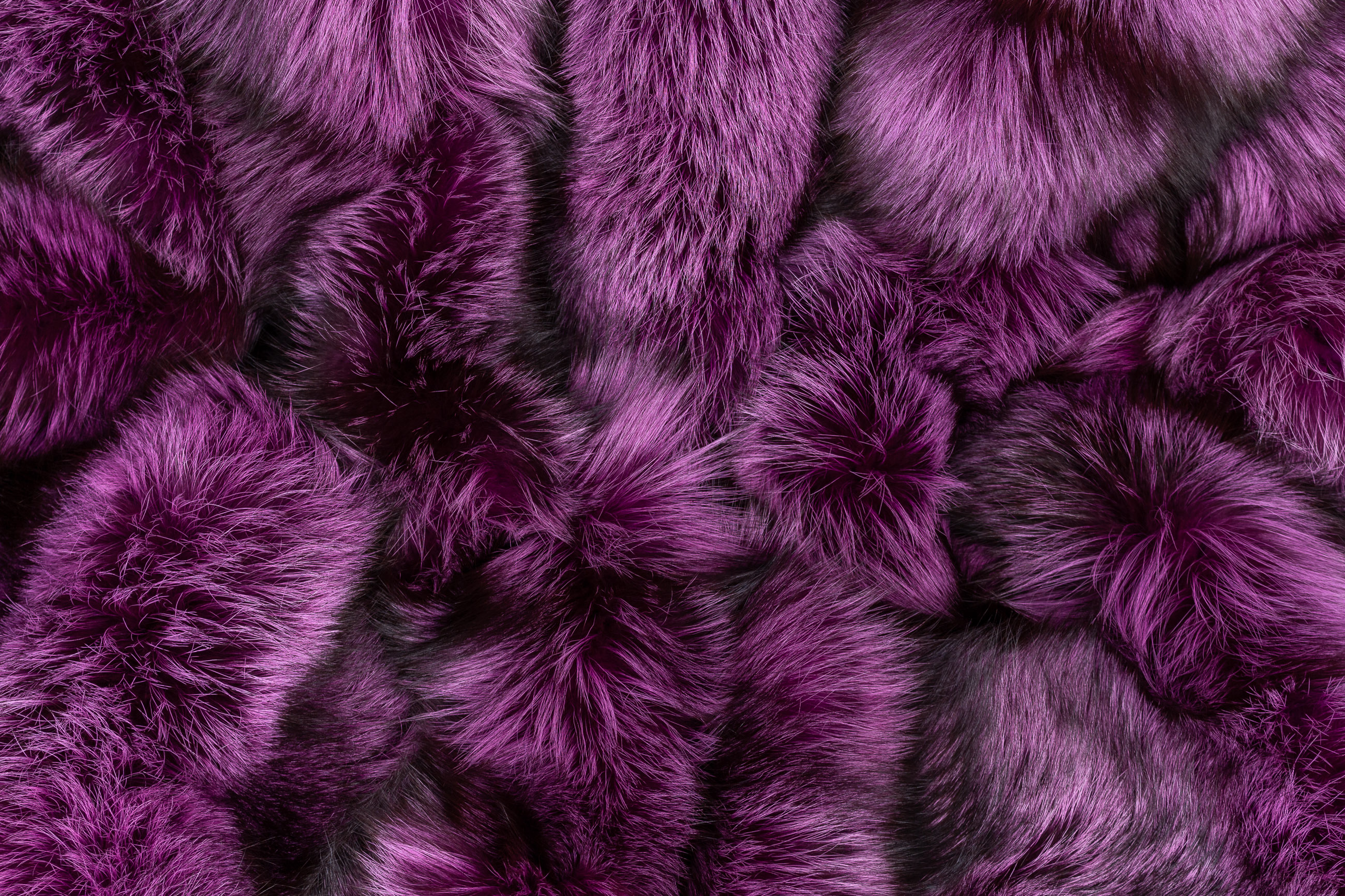 Echtpelz Decke aus Skandinavischen Silberfüchsen in Purple
