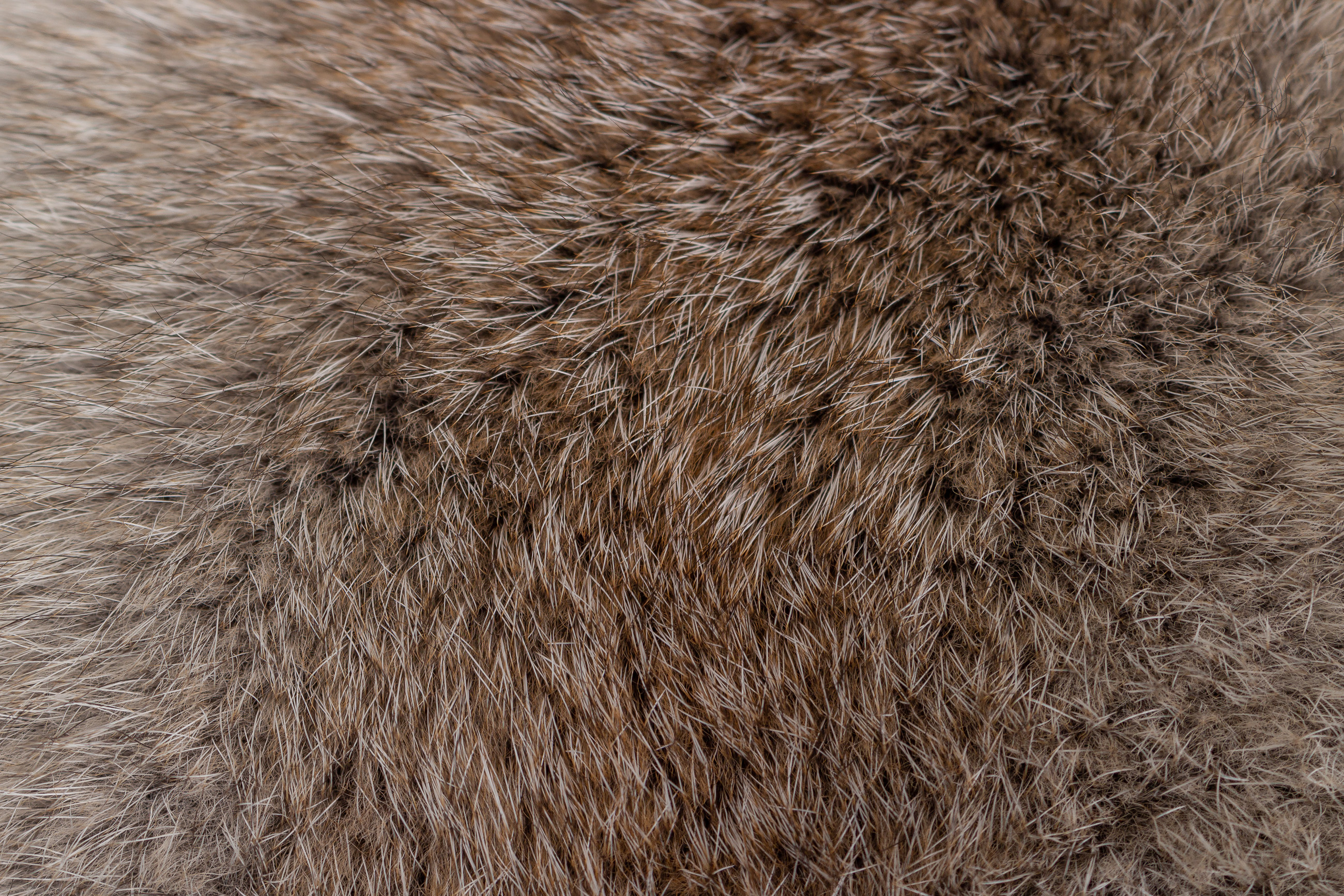 Pelzkissen aus Fawnlight Fuchs