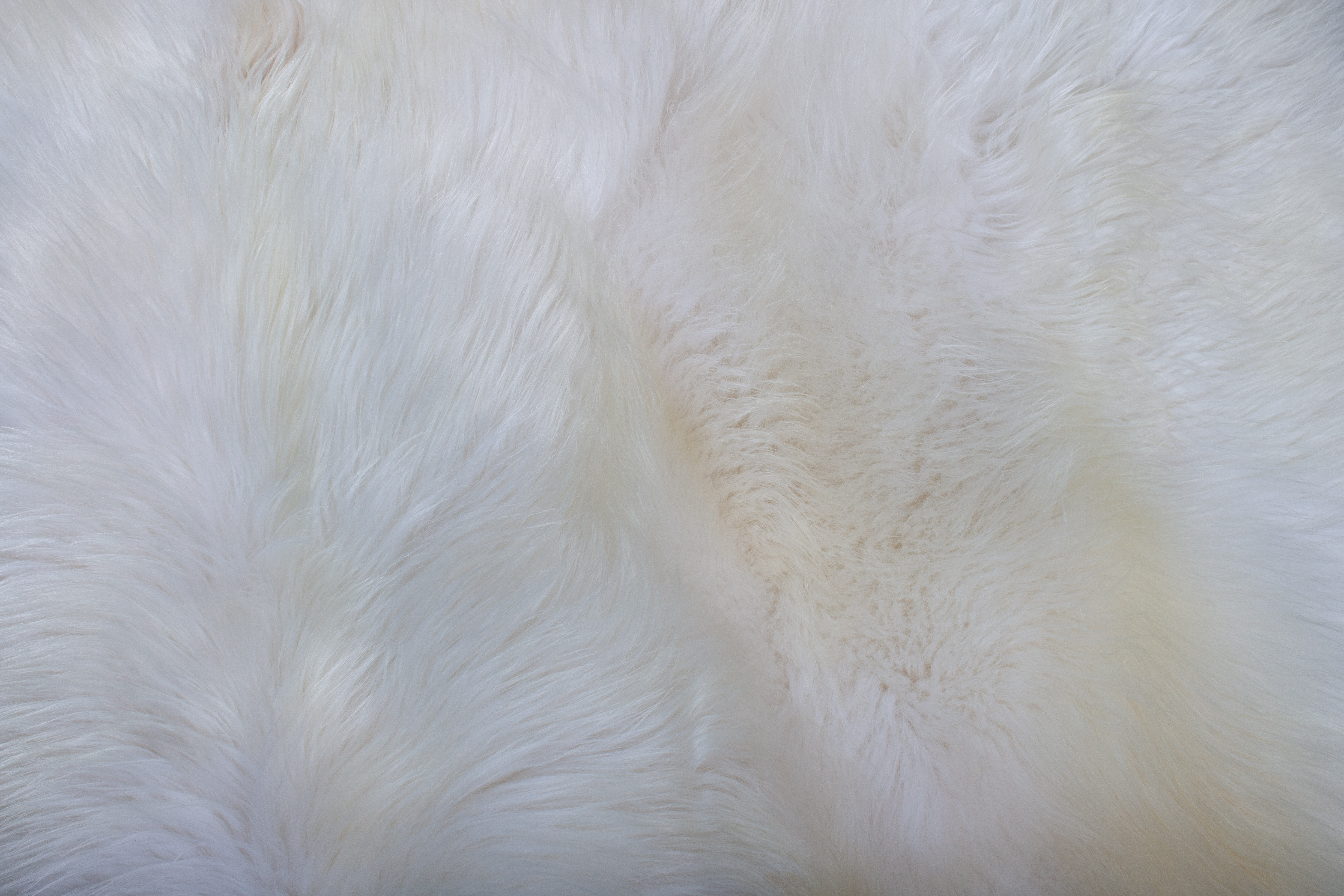 Nordland Schnucken Fellteppich in weiß