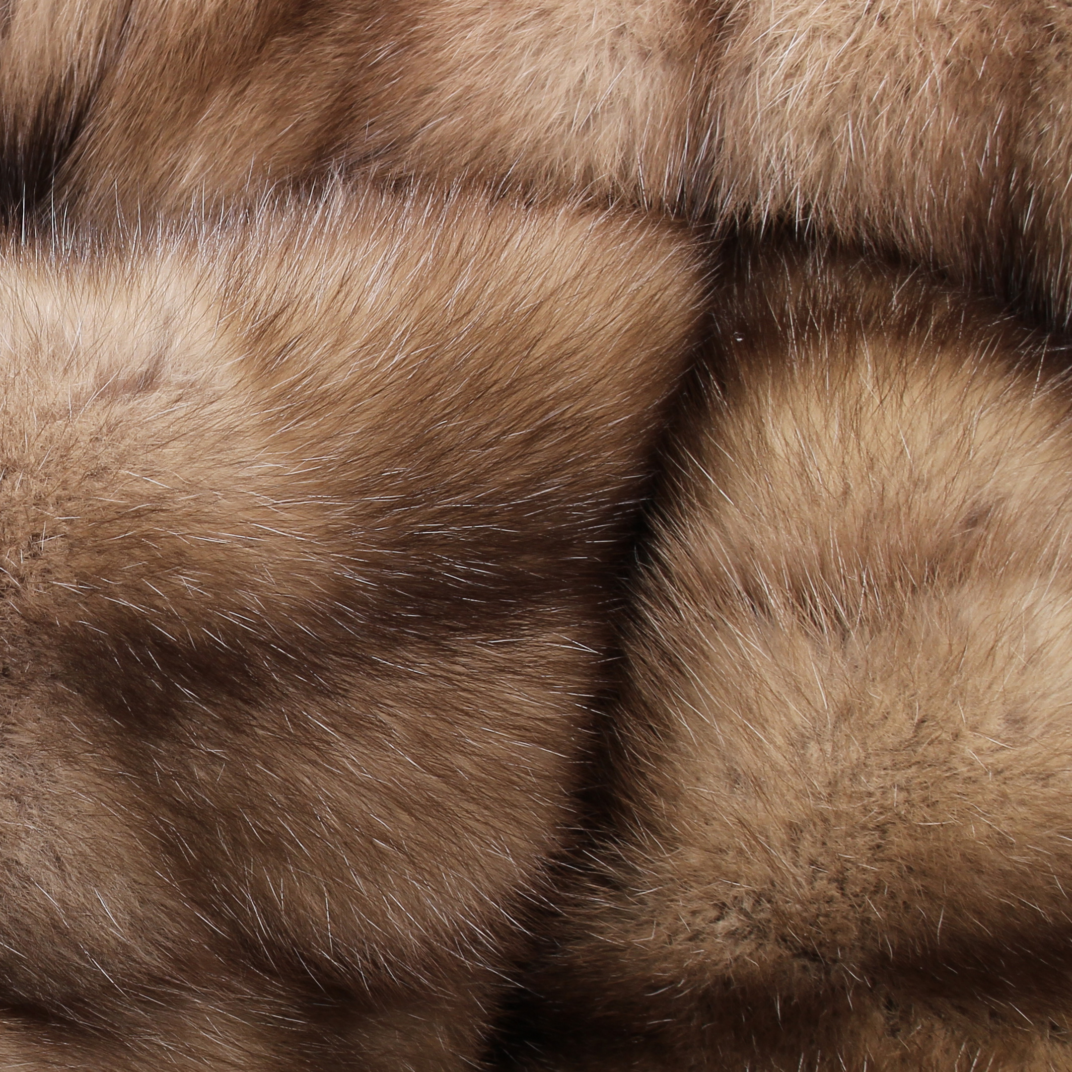 Kategoriebild-Zobel-500x500 Kategoriebild-Zobel-500x500