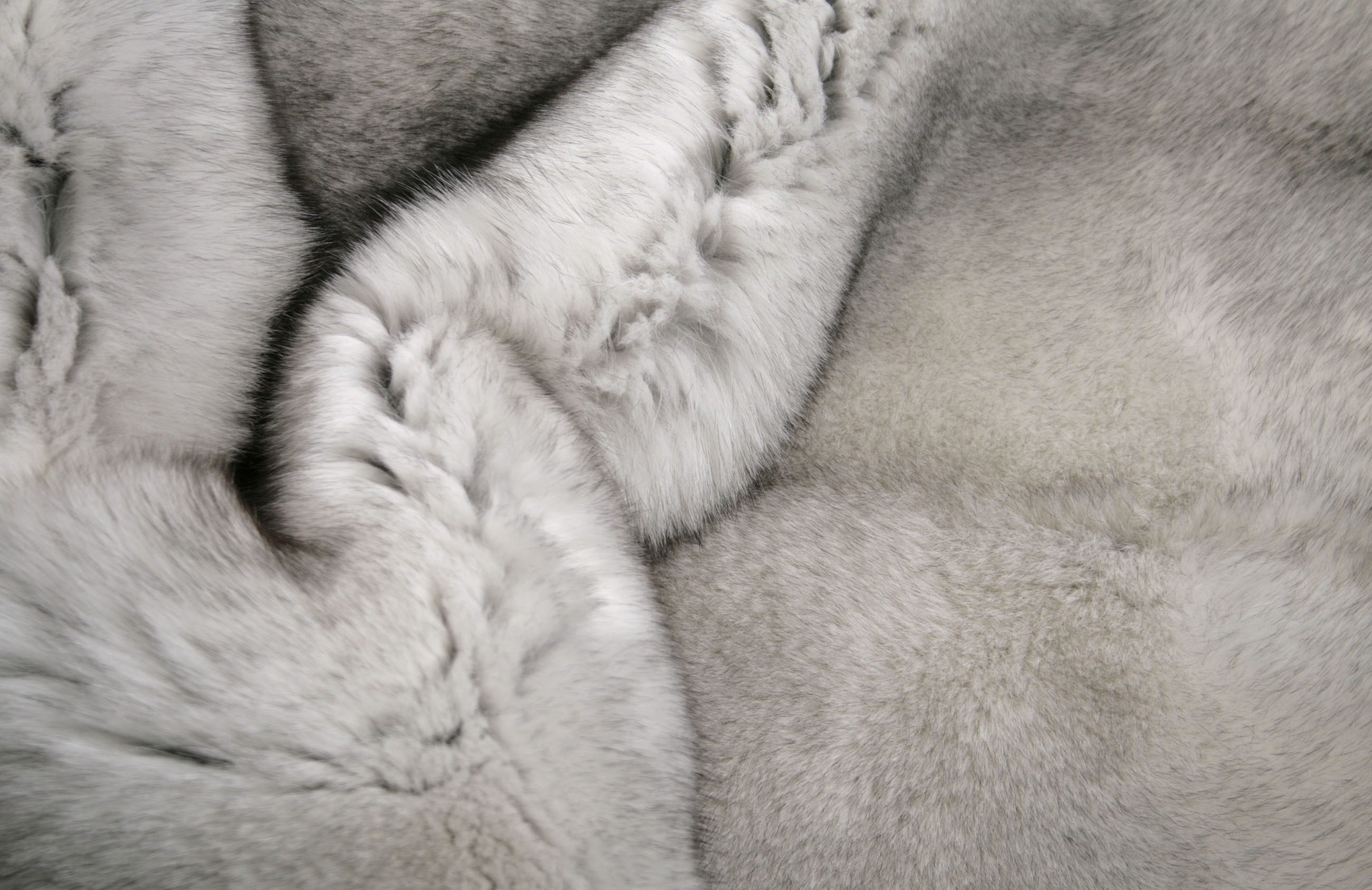 blaufuchs-teppich-naturell-4 Blaufuchs Fellteppich (SAGA - Qualität)