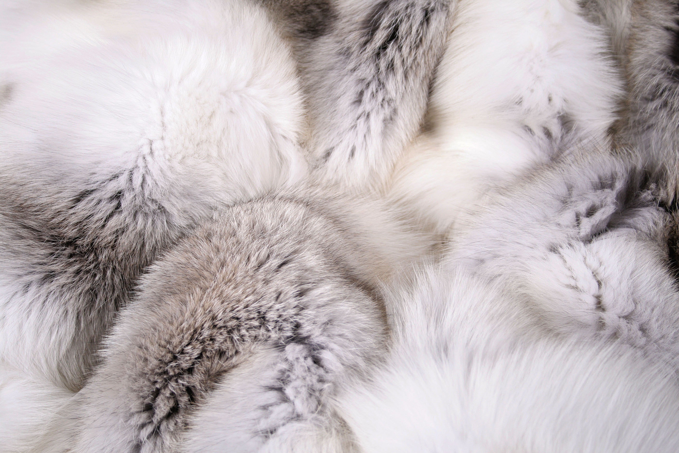Naturfarbene Fawnlight Fuchs Felldecke (SAGA Fur)