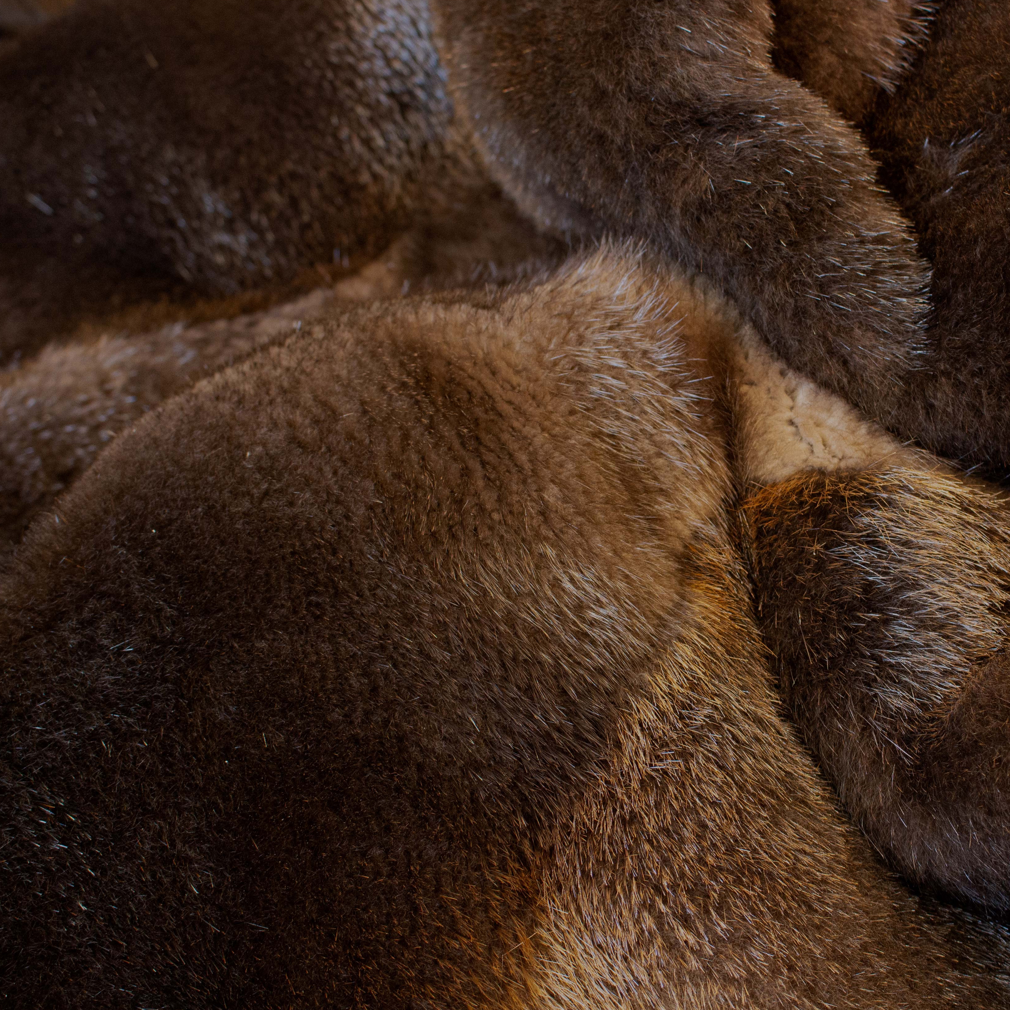 Kategoriebild-Biber-500x500 Kategoriebild-Biber-500x500