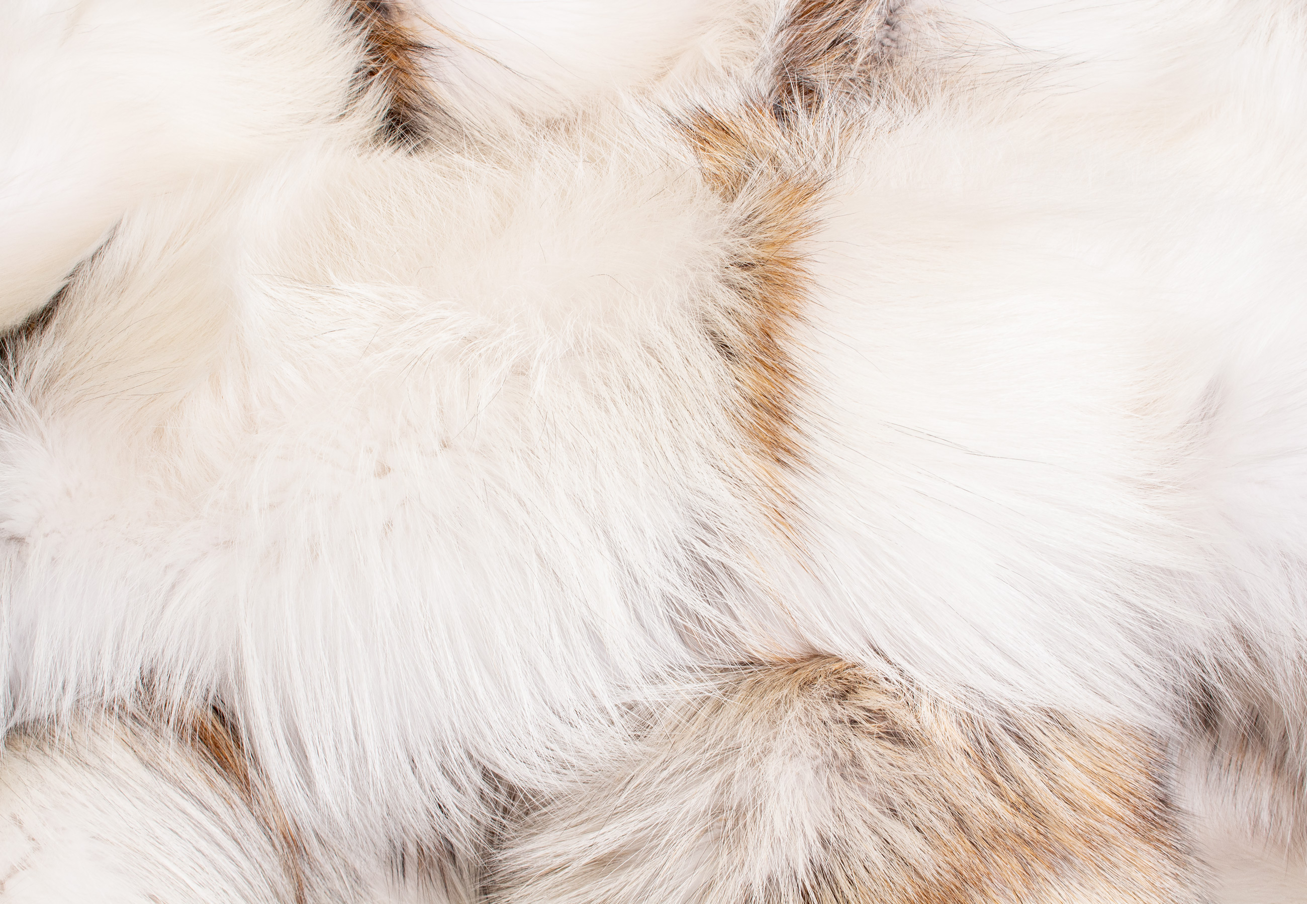 Arctic Marble Cross Fuchs Felldecke