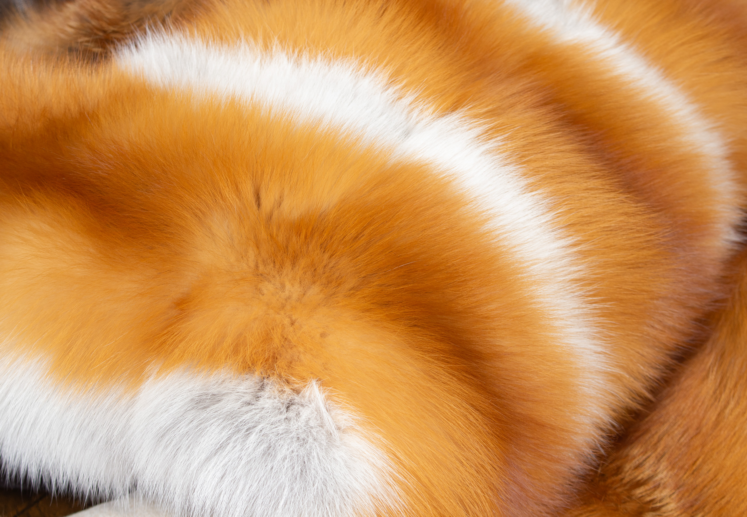 Kuscheliges Kanadisches Rotfuchs Pelz Plaid