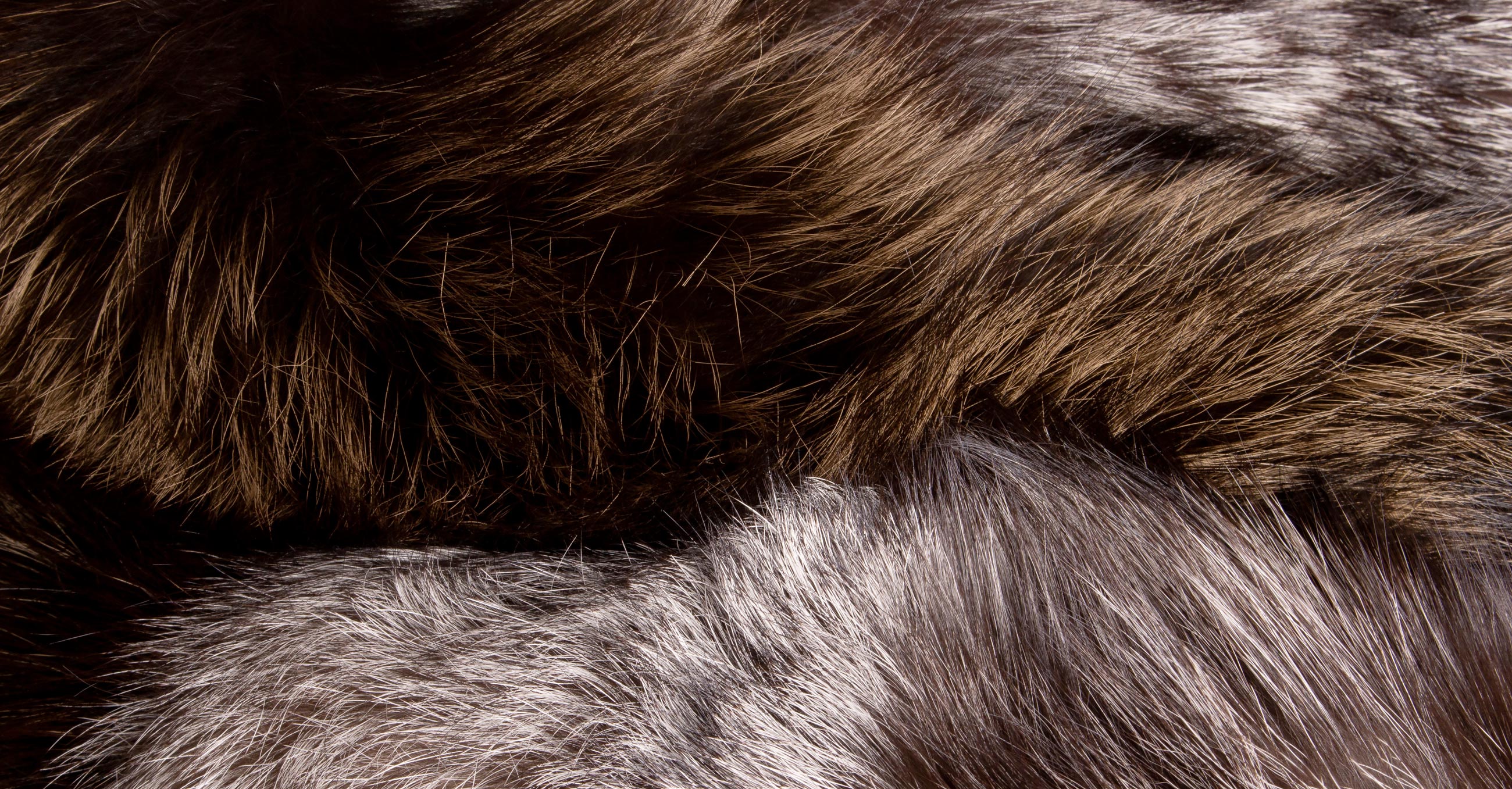 2024-home-background-01 2024-home-background-01
