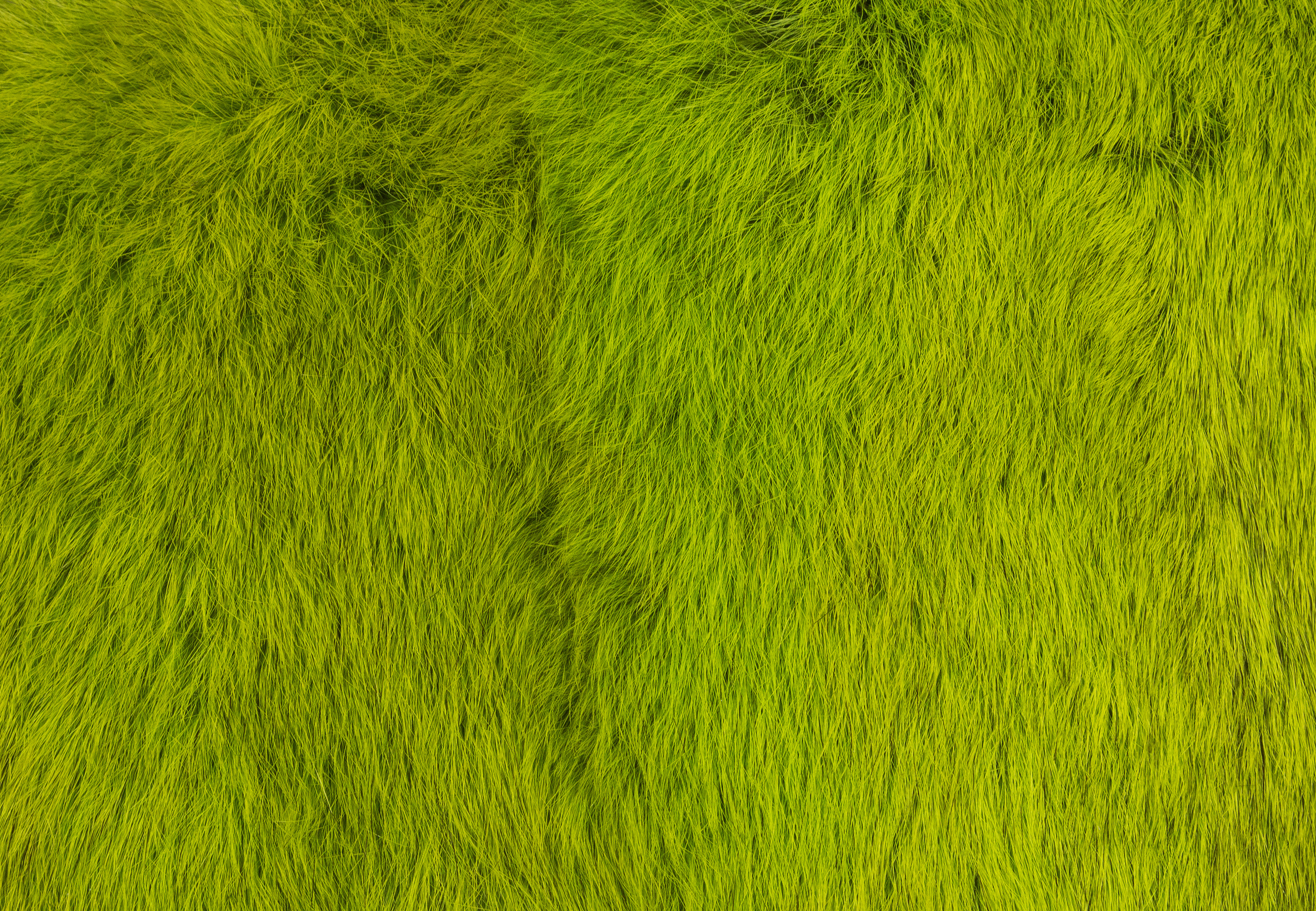 Bequemes Kaninchen Fellkissen in Grün Bequemes Kaninchen Fellkissen in Grün