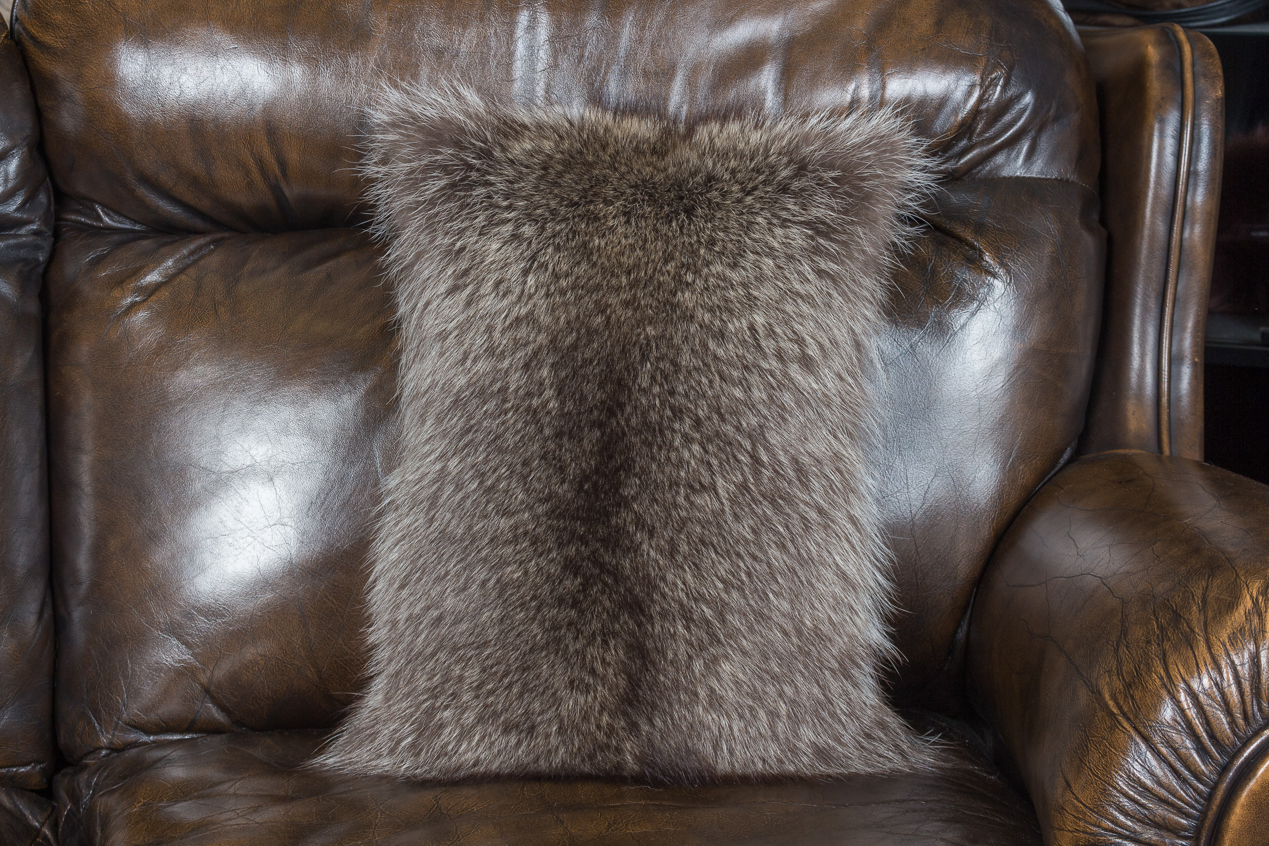 2-1376-Kleines-Waschbaer-Fellkissen-Lars-Paustian Kleines Waschbär Fellkissen