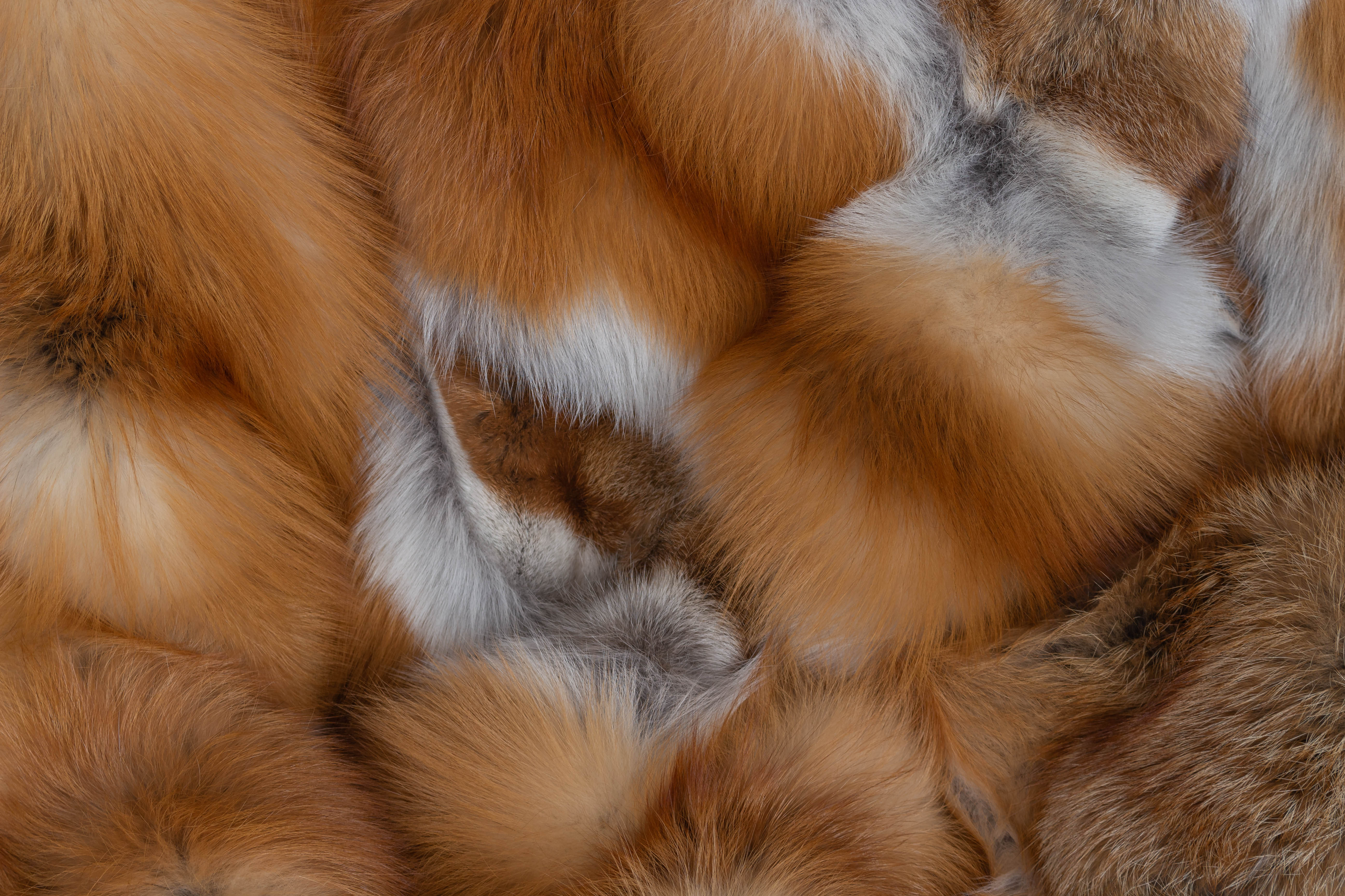 Kanadische Rotfuchs Pelzdecke - Fur Harvesters - "Cool Winter"