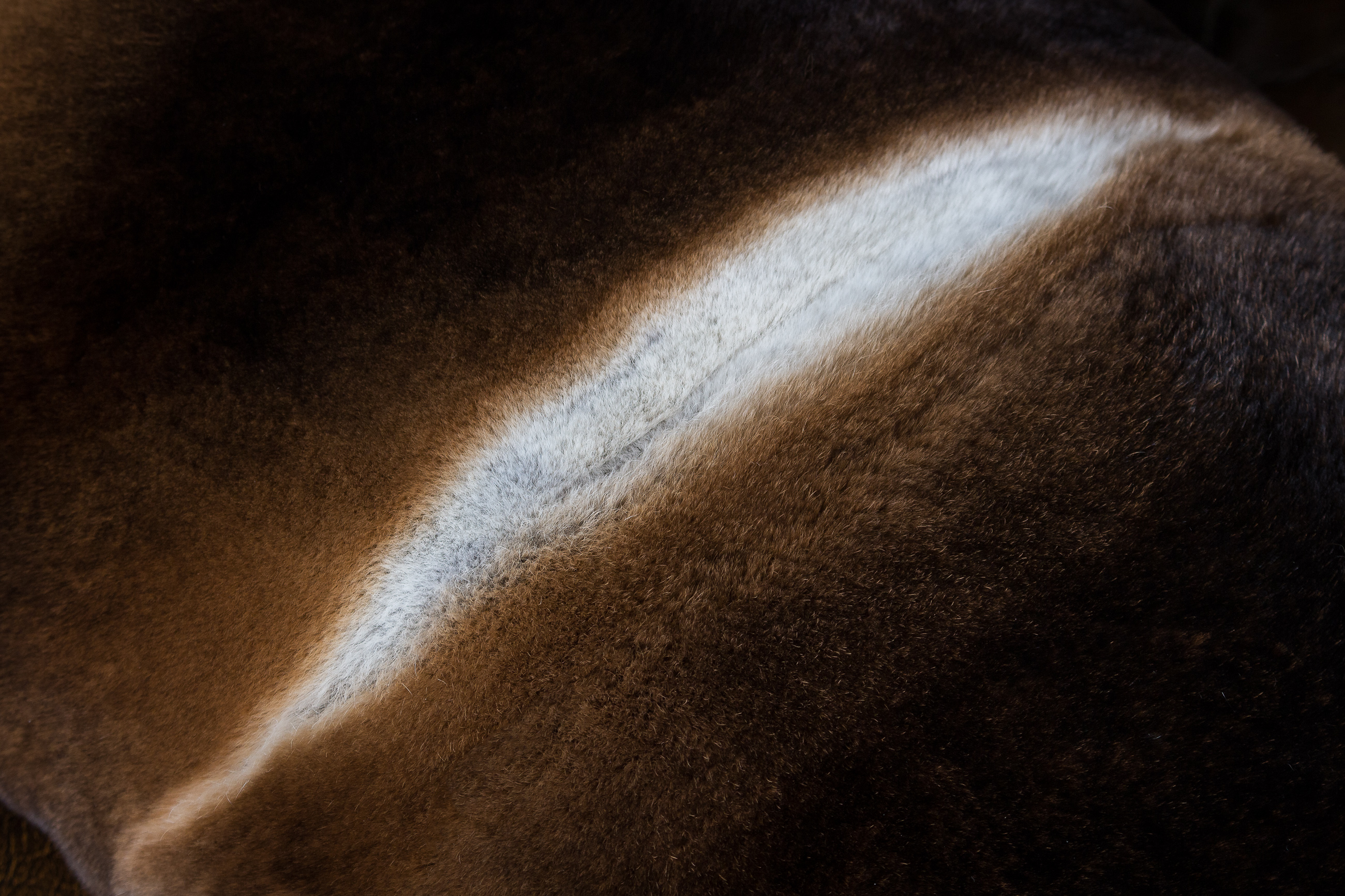 9-7671-Kaninchen-Kissen-Castor-Rex-Kanin Kaninchen Kissen aus Castor Rex Kanin